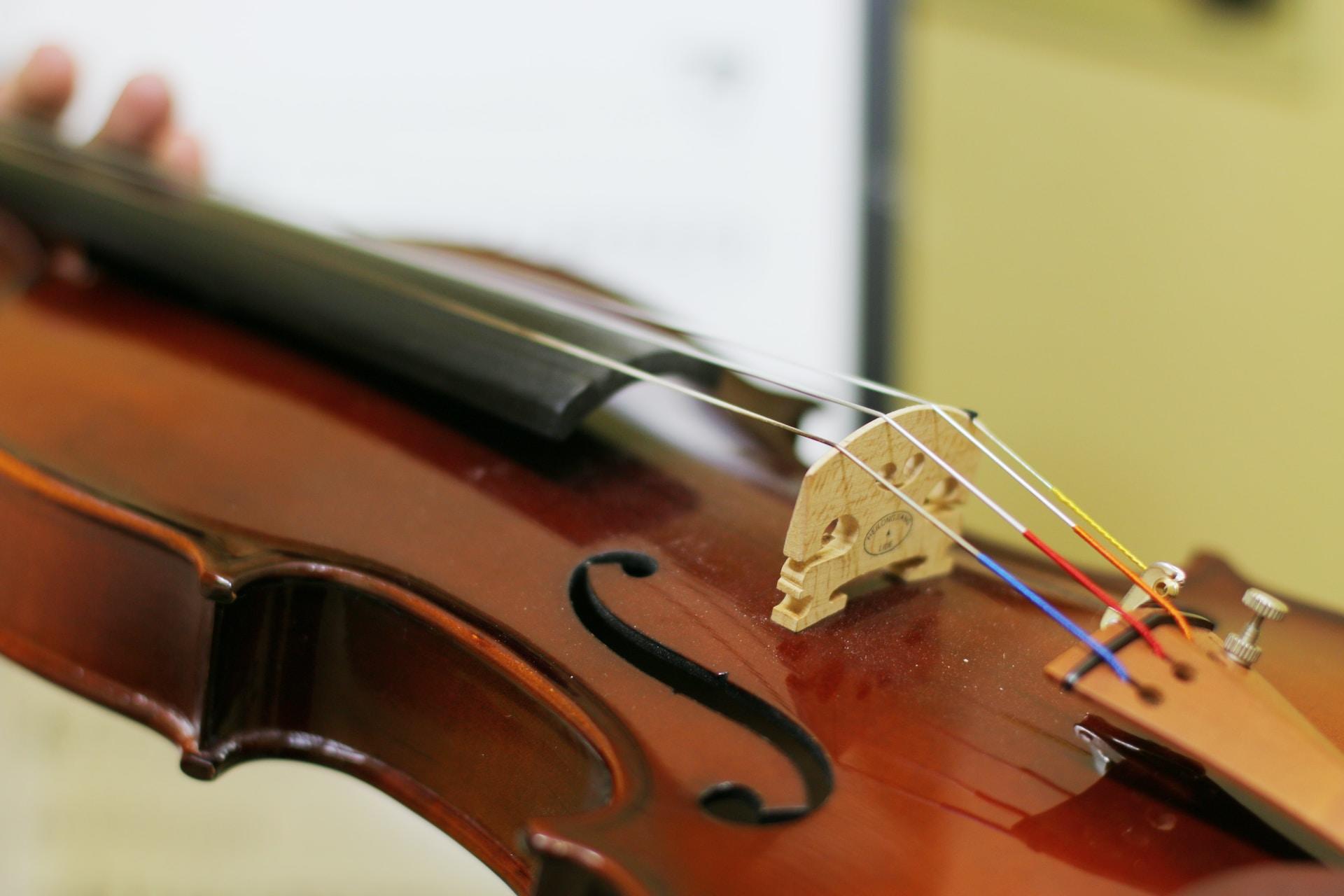A closeup of a violin from the side.