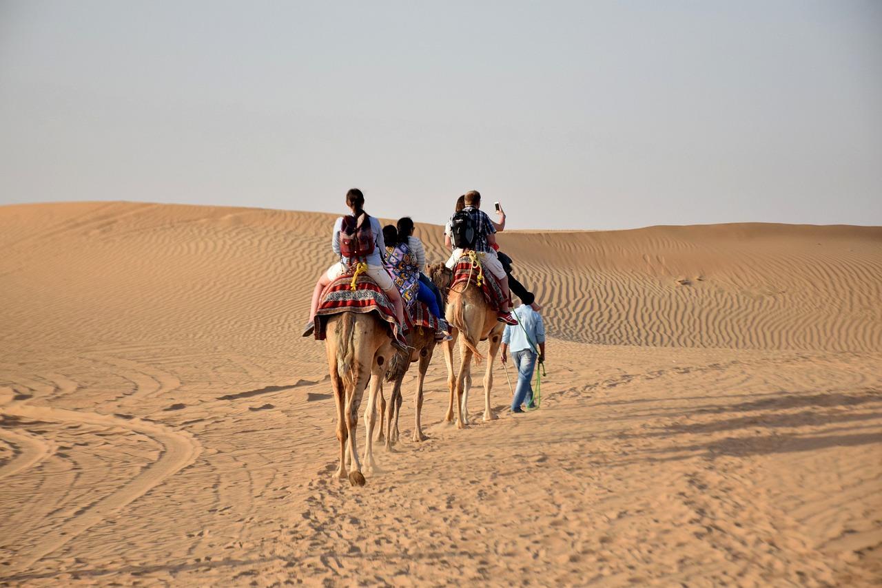 People travelling on camels in the desert.