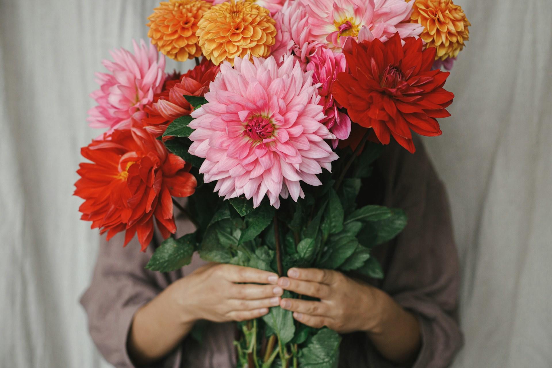 A bouquet of dalias.