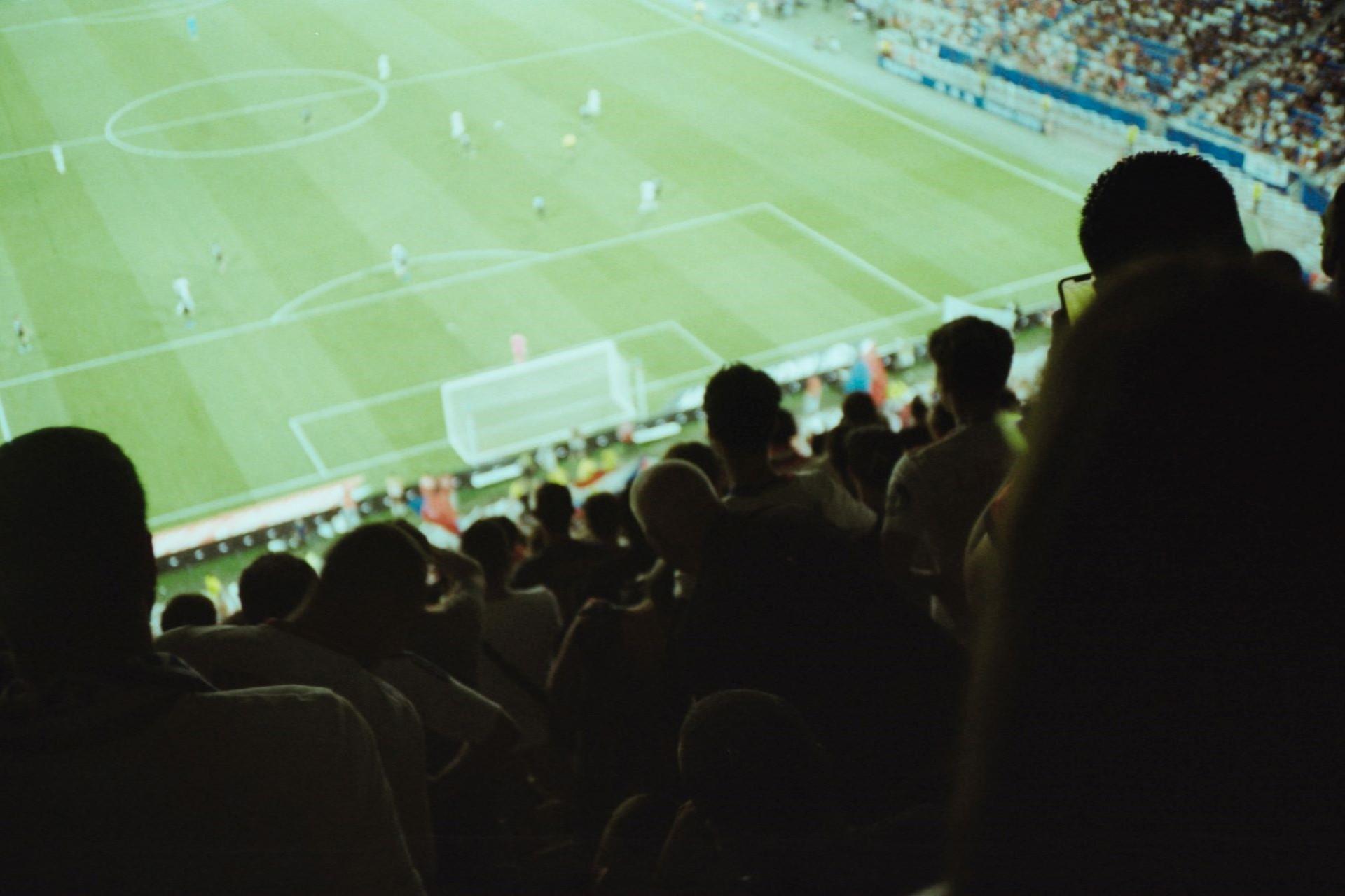 Fans at Lyon.