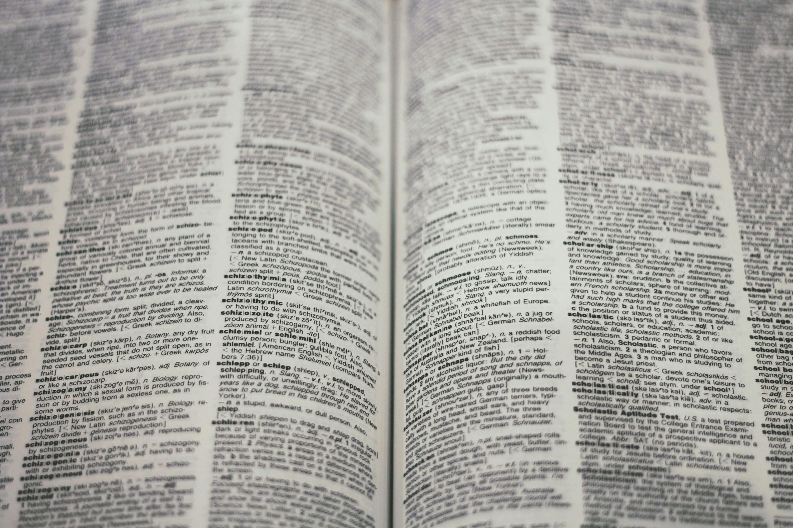 dictionary english