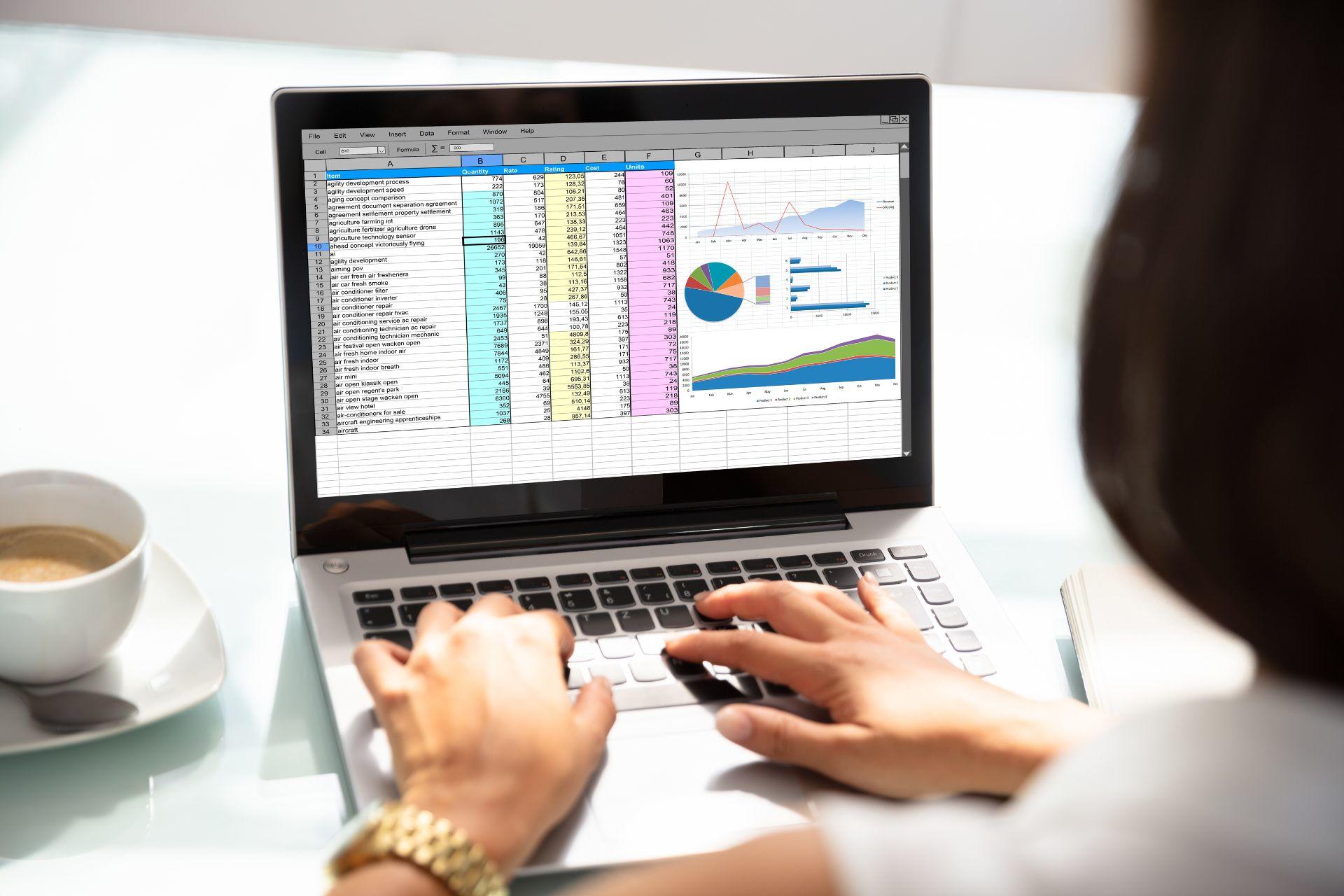 a person looking at a laptop screen with an Excel spreadsheet and graphs on it