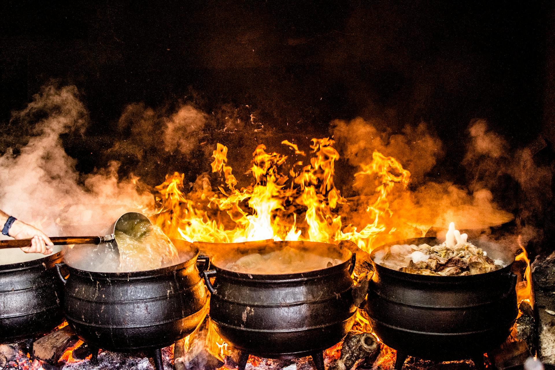 fire and food cooking
