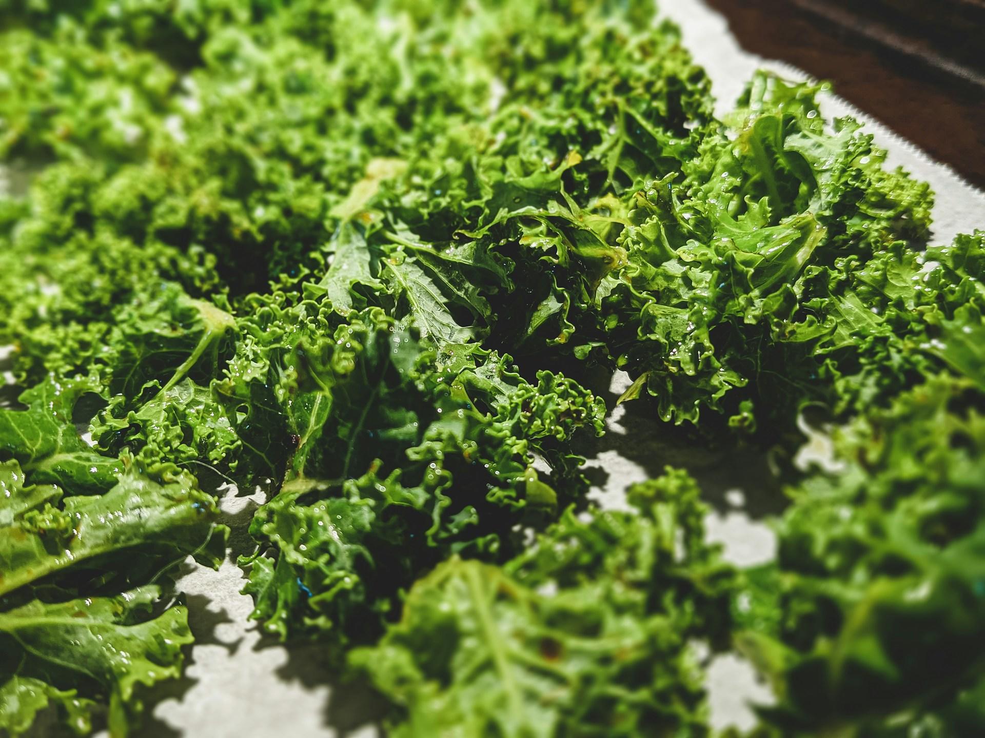 healthy snack nutrition