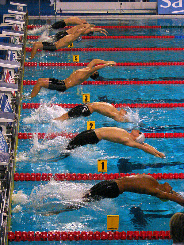 backstroke swimming competition