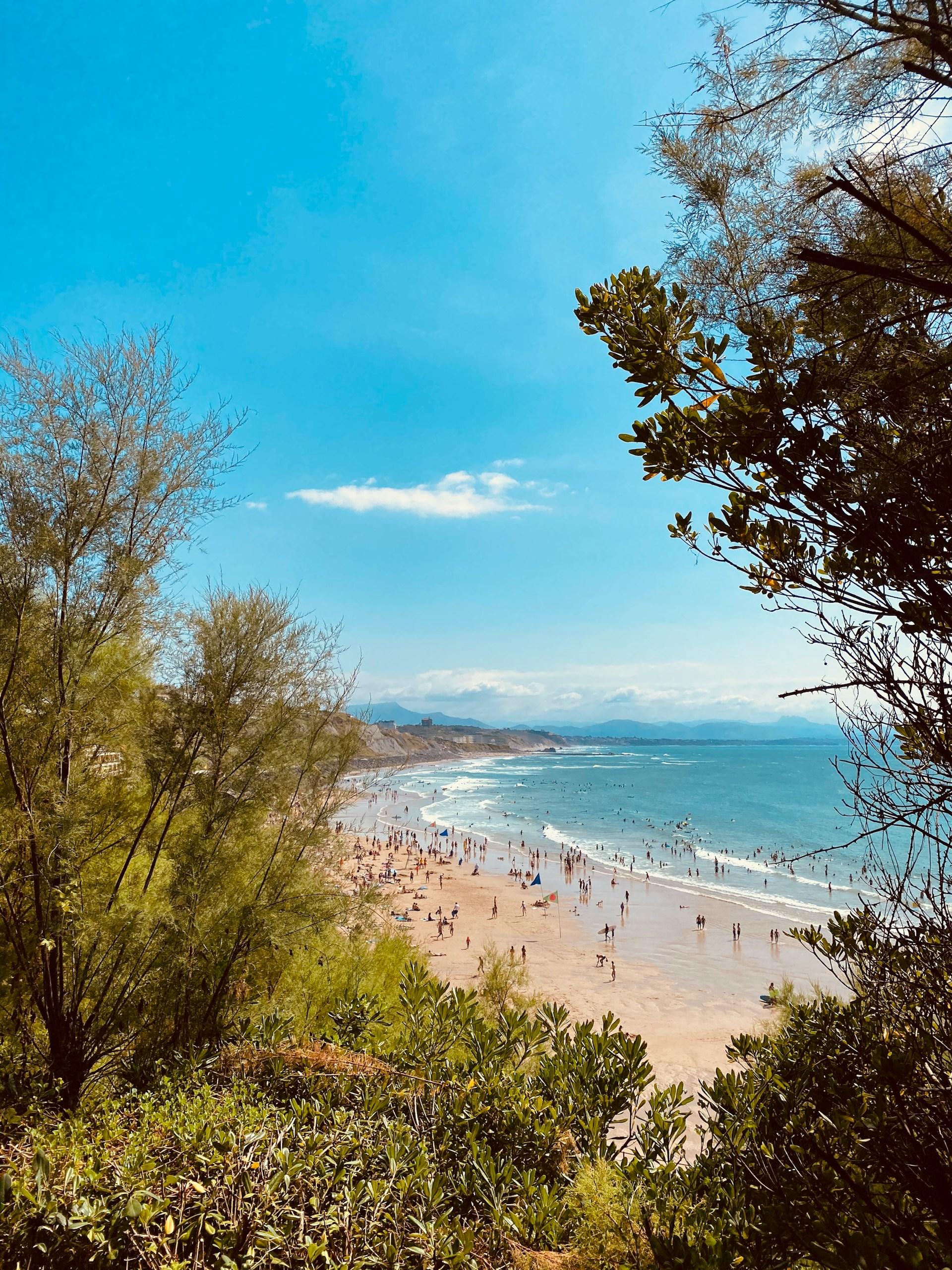 People on a beach on a sunny day.