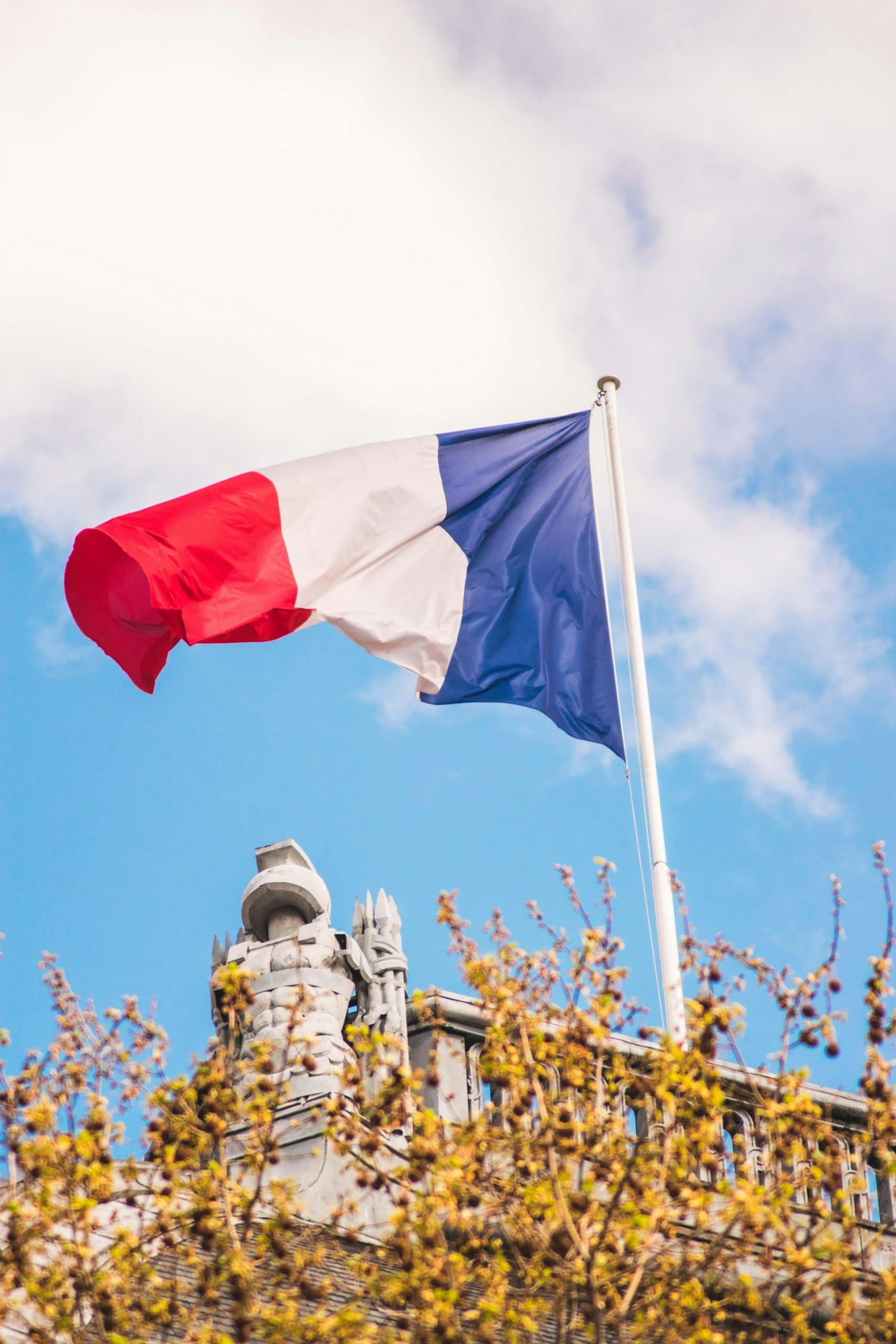 The french flag waves over a golden tree on a sunny day. 