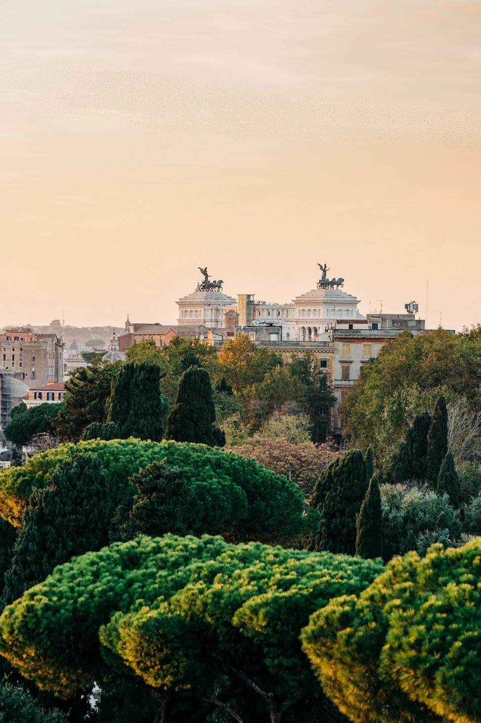 View of a city with trees and buildings.