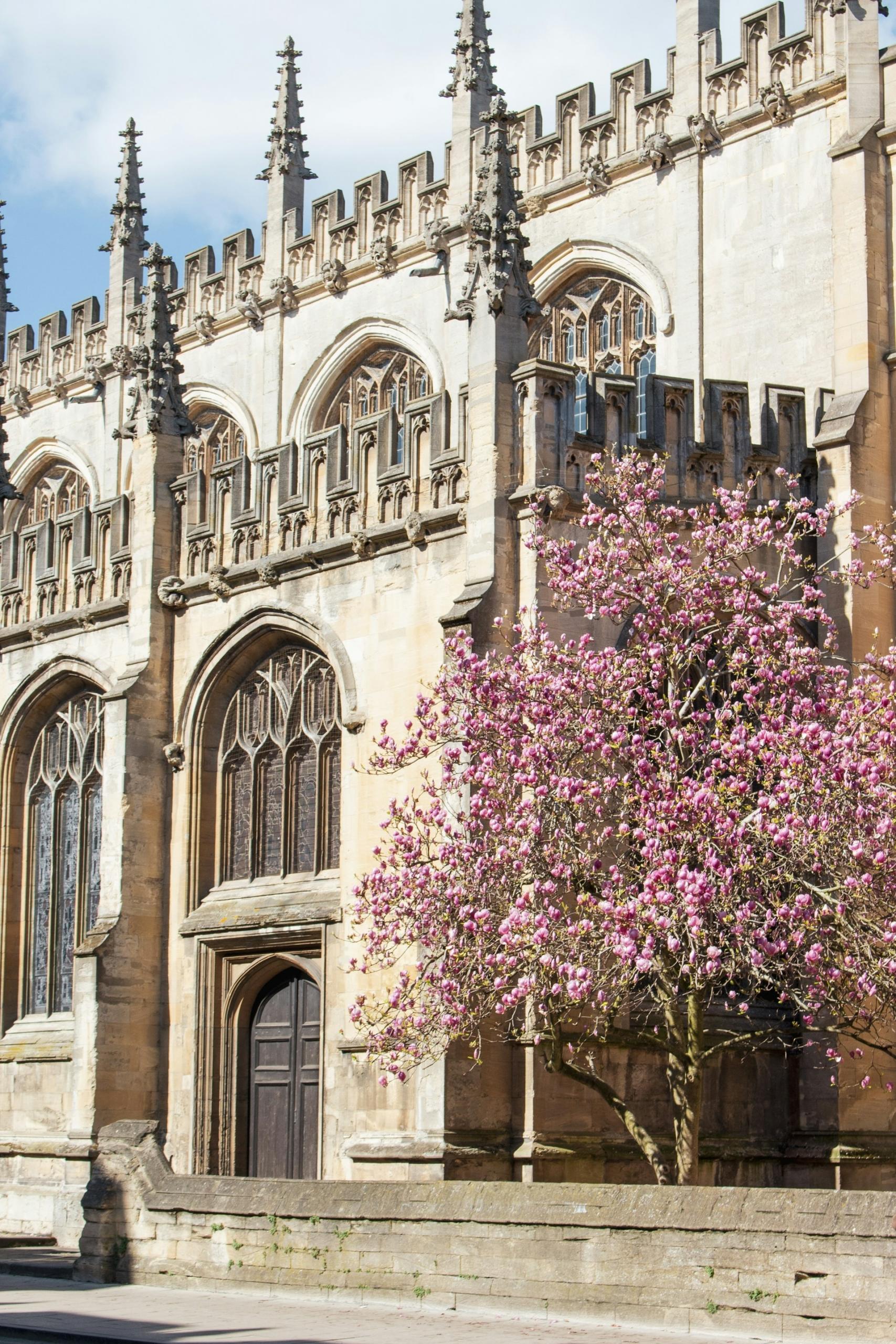 A stone building with a pink tree in front of it on a sunny day.