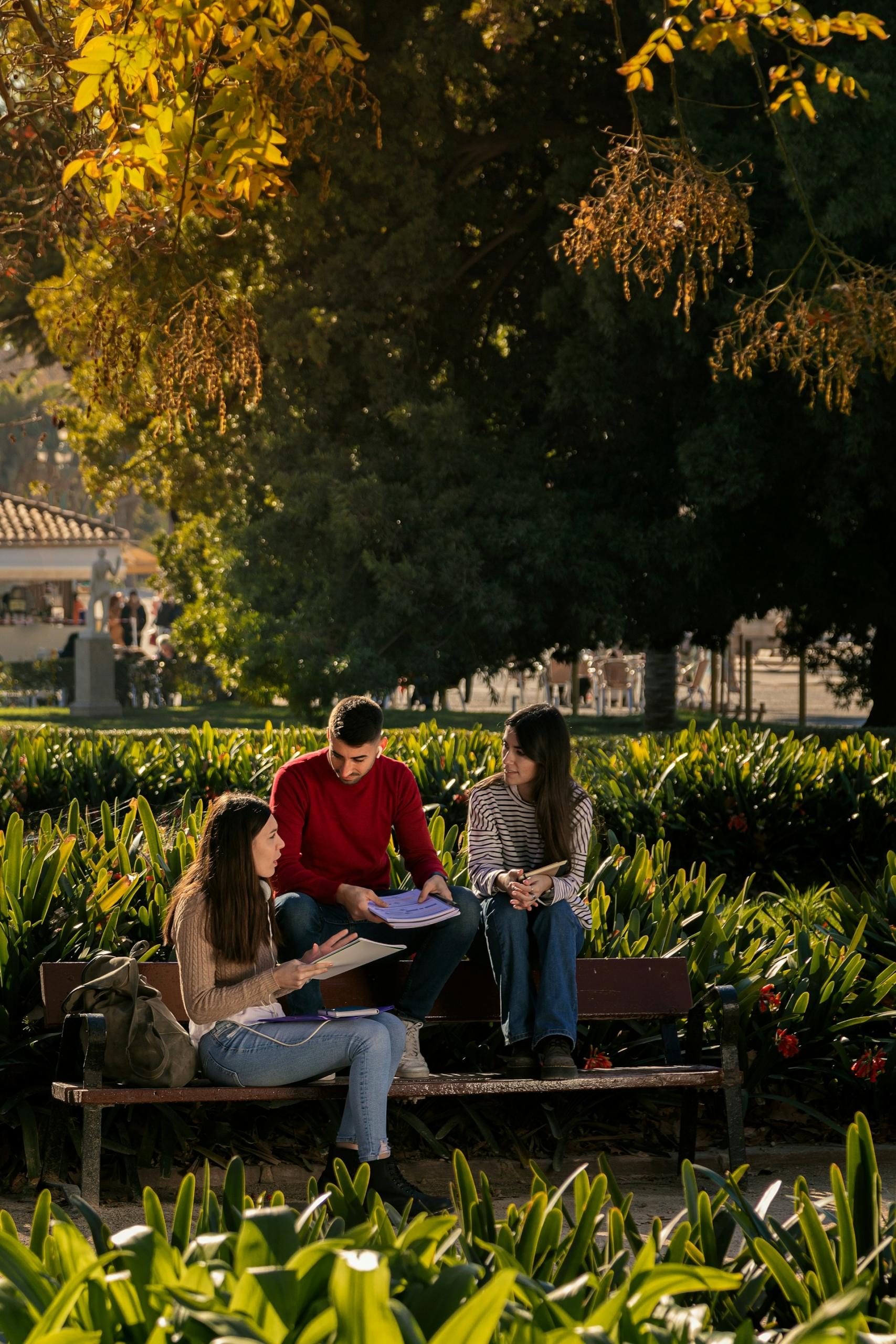 Three people sit under a tree in the shade.