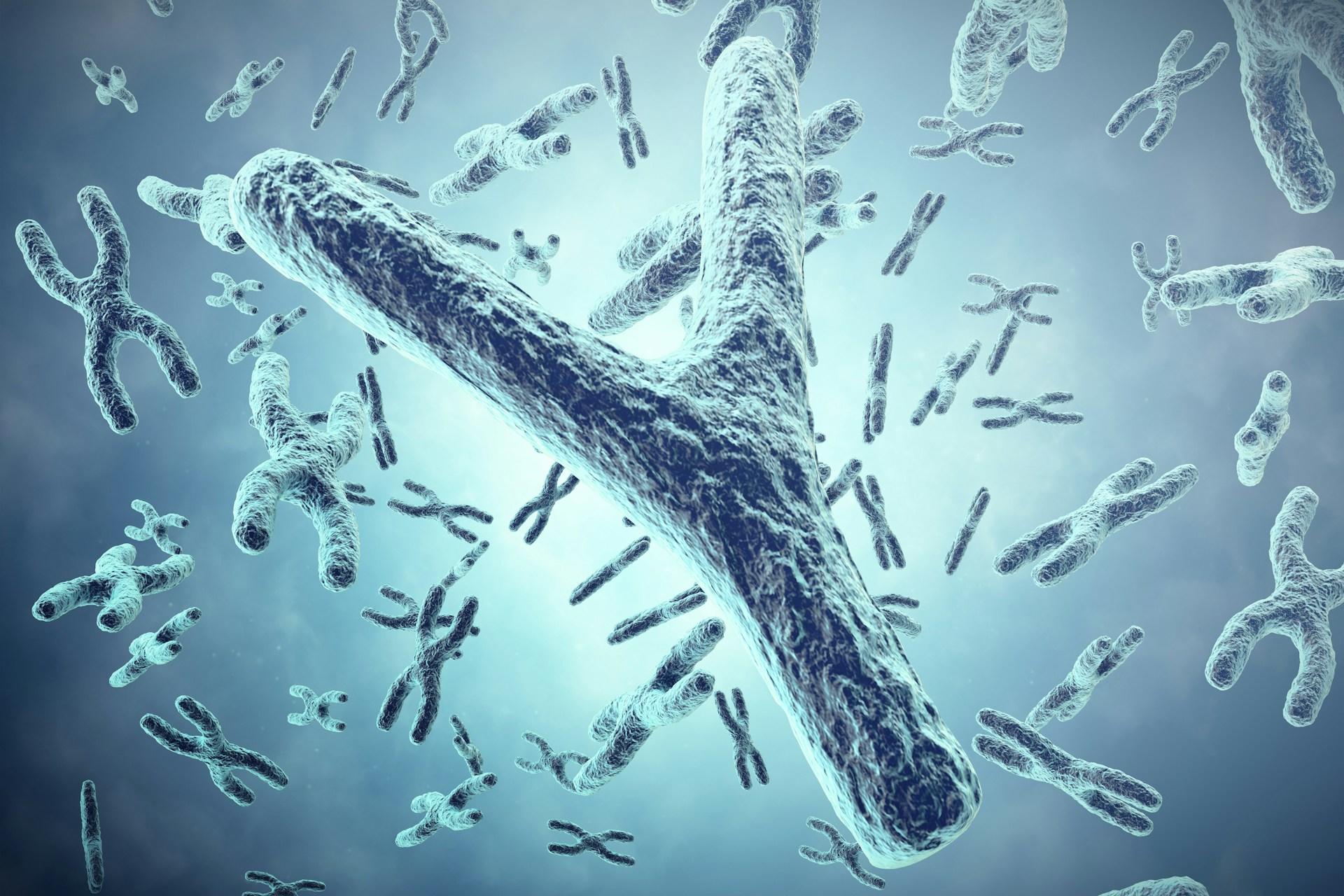 Random X and Y chromosomes against a green background.