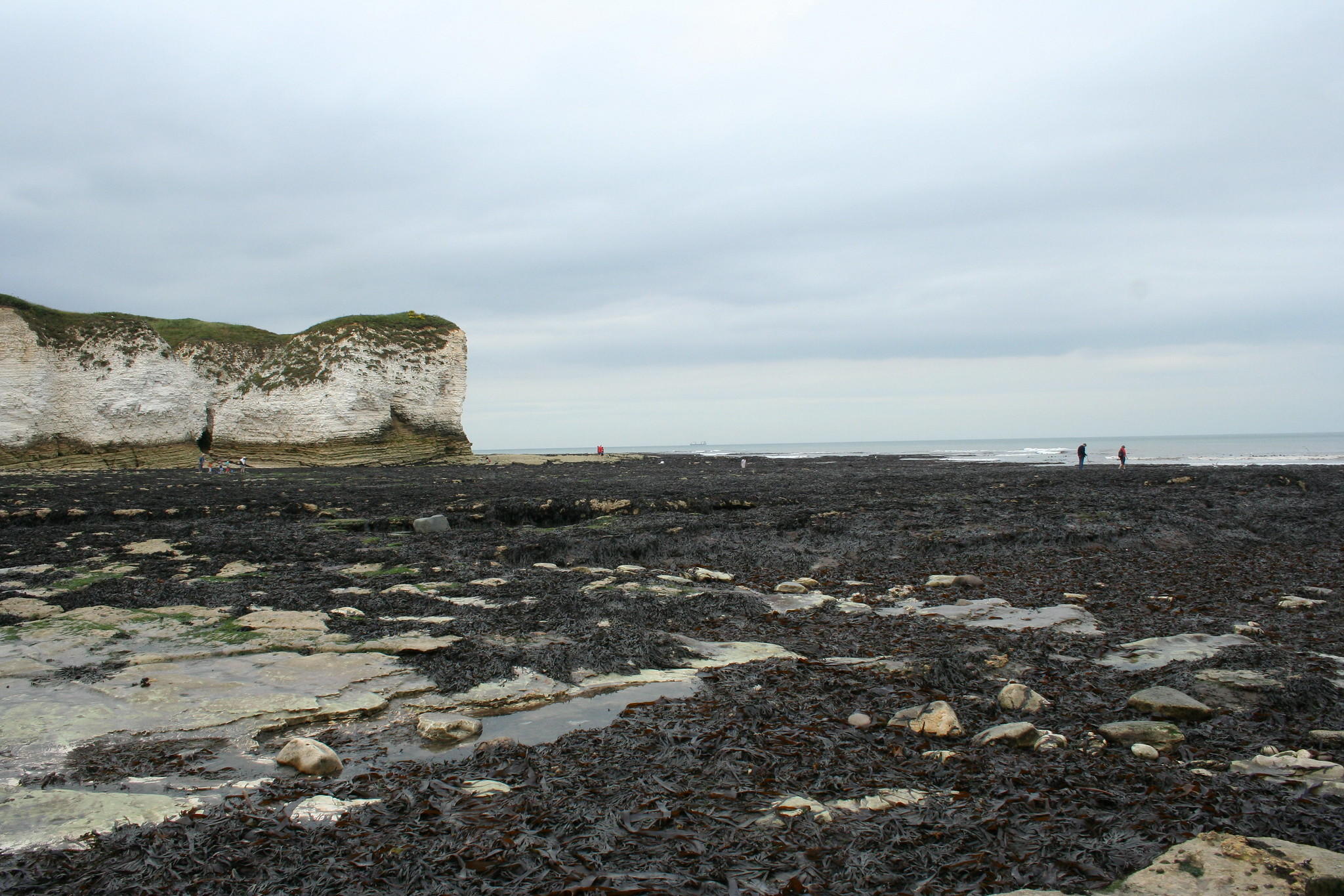 Wave-cut platform GCSE