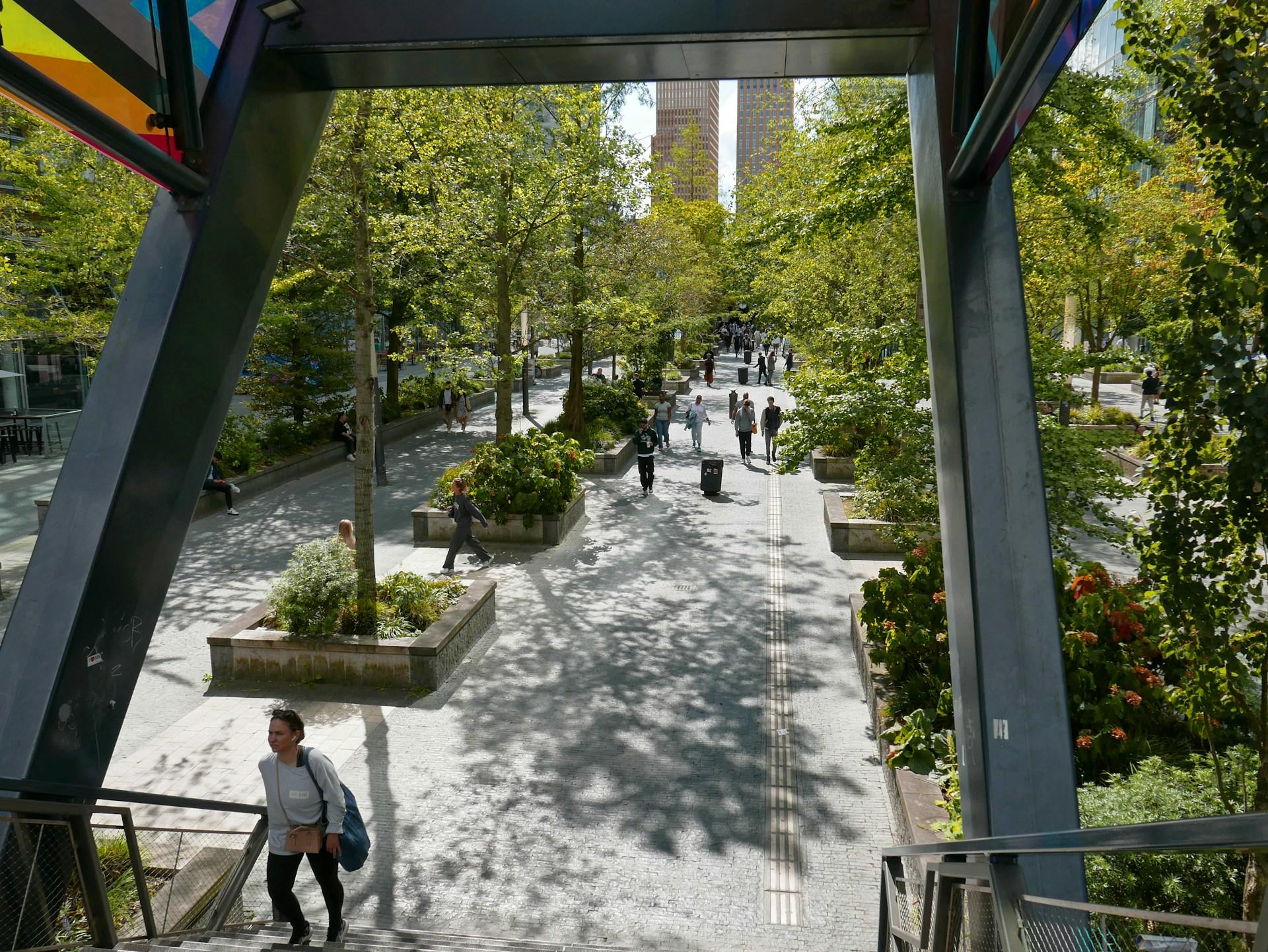 A paved walkway with people on it, surrounded by greenery, on a sunny day.