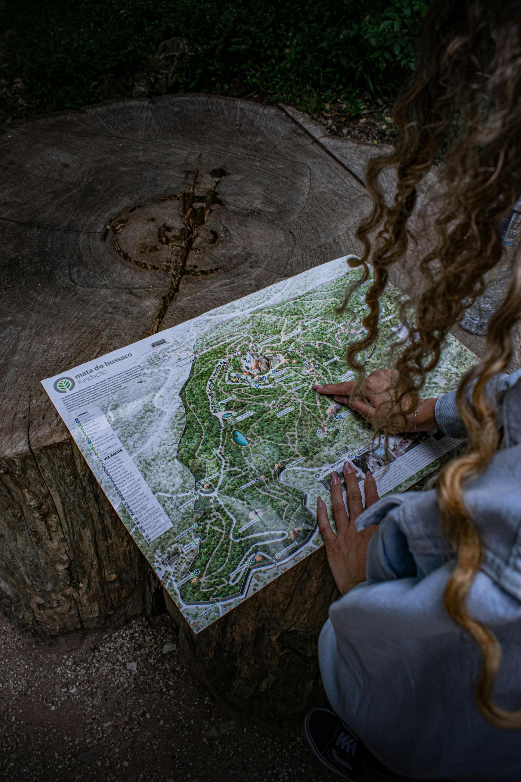 Maps are a great tool for navigating and planning