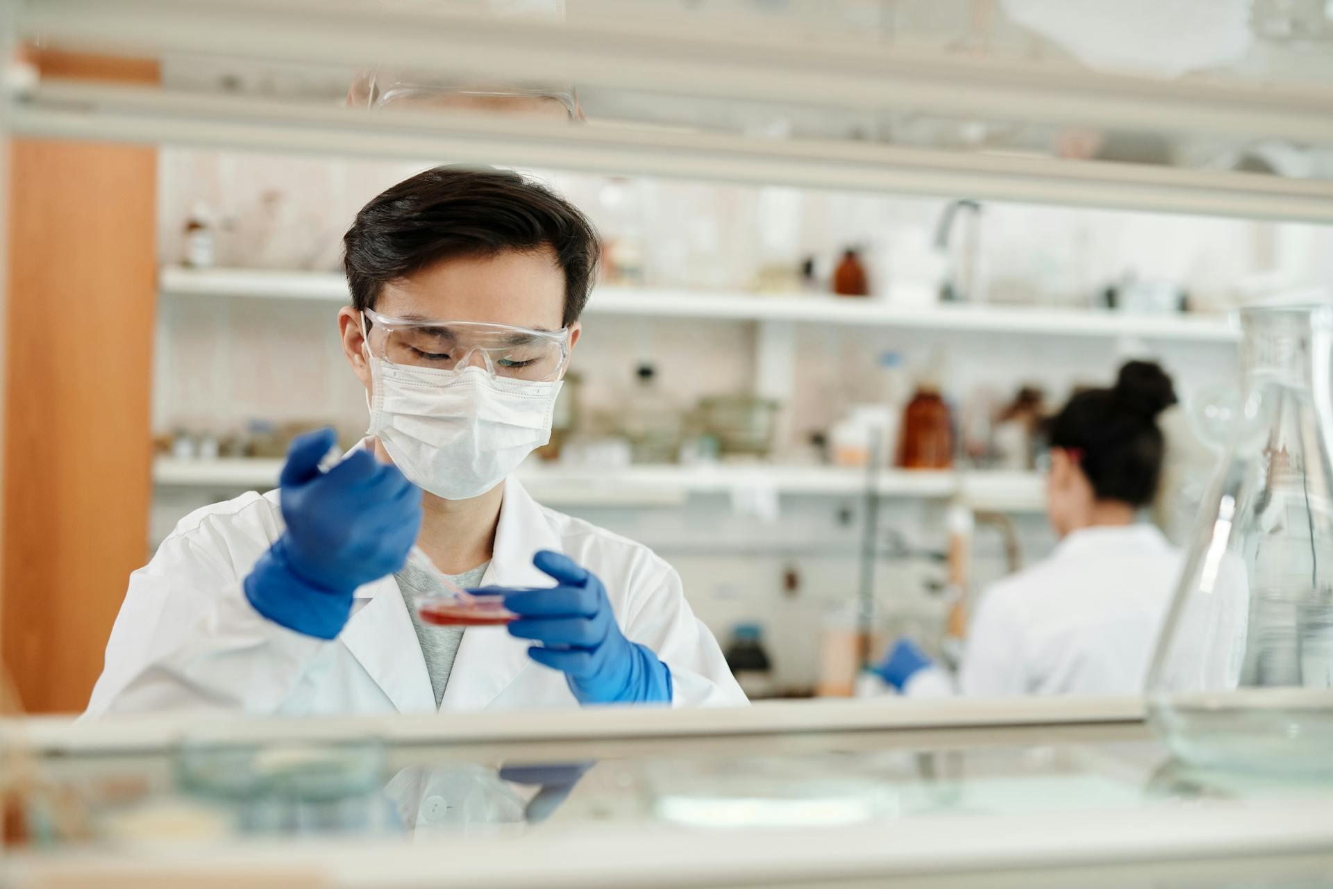 A scientist explores the contents of a petrie dish.