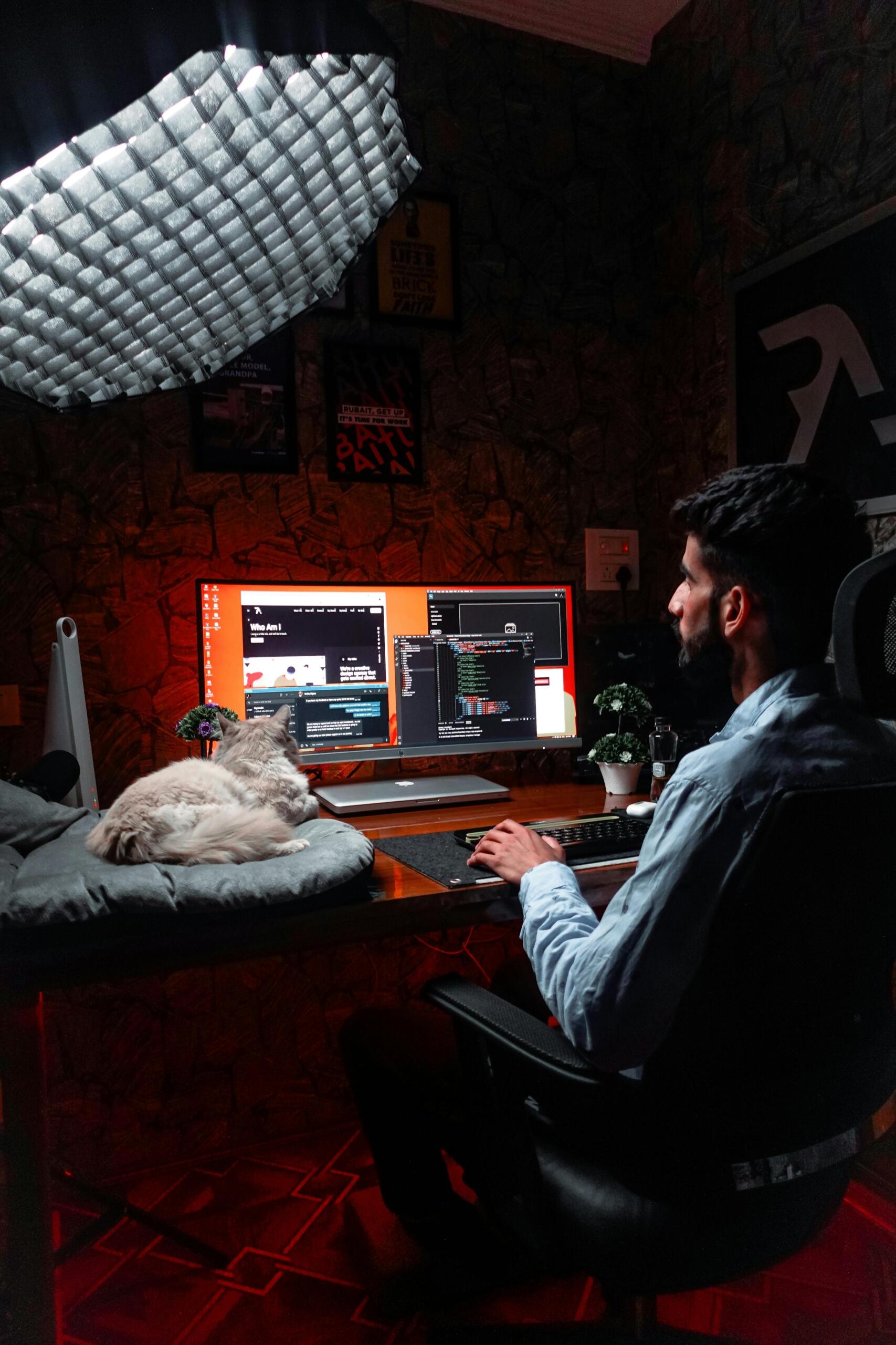 A python developer is enjoying the privilege of working from the comfort of his own home
