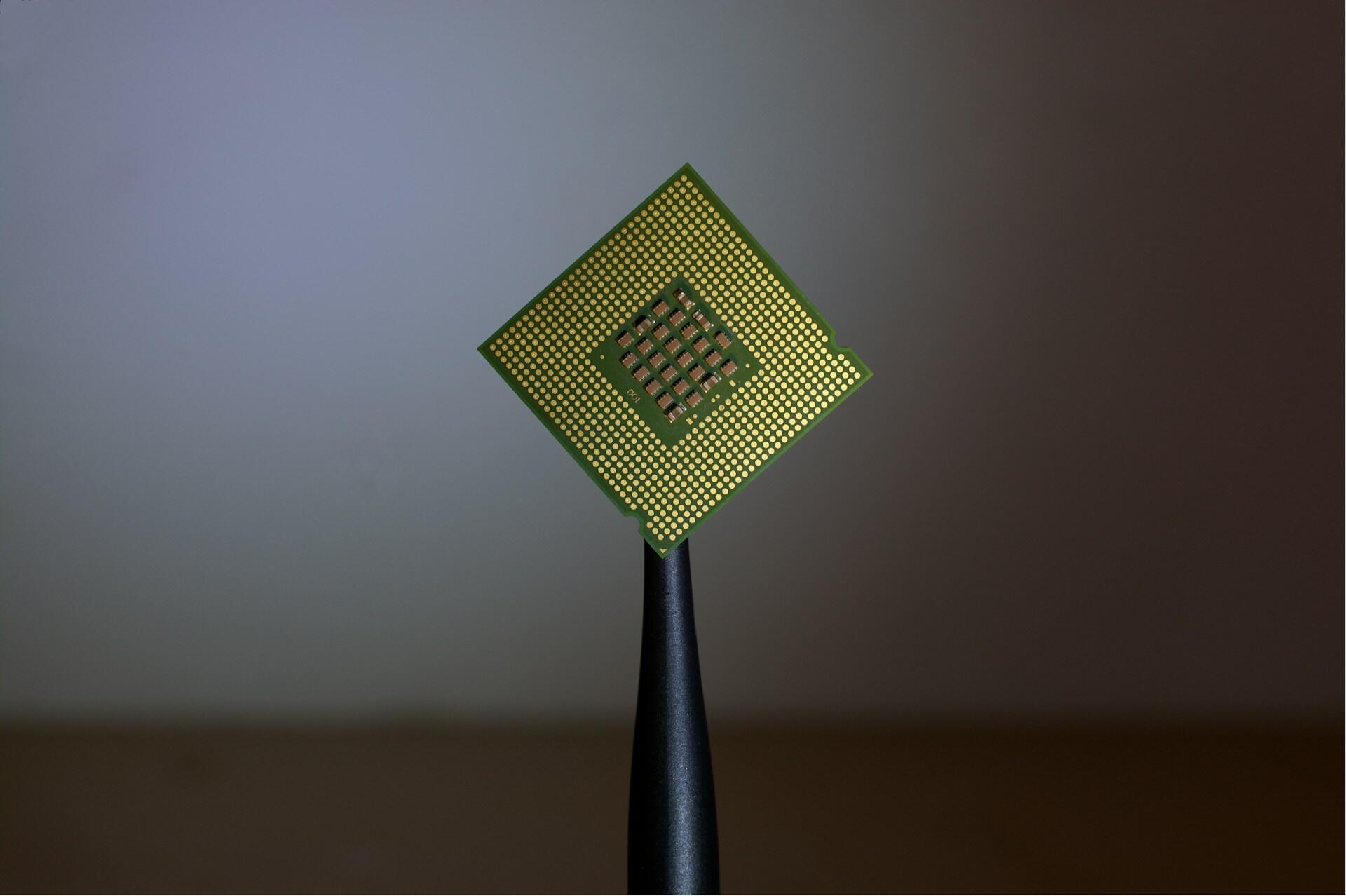 A microchip held up in a pair of tweezers. 