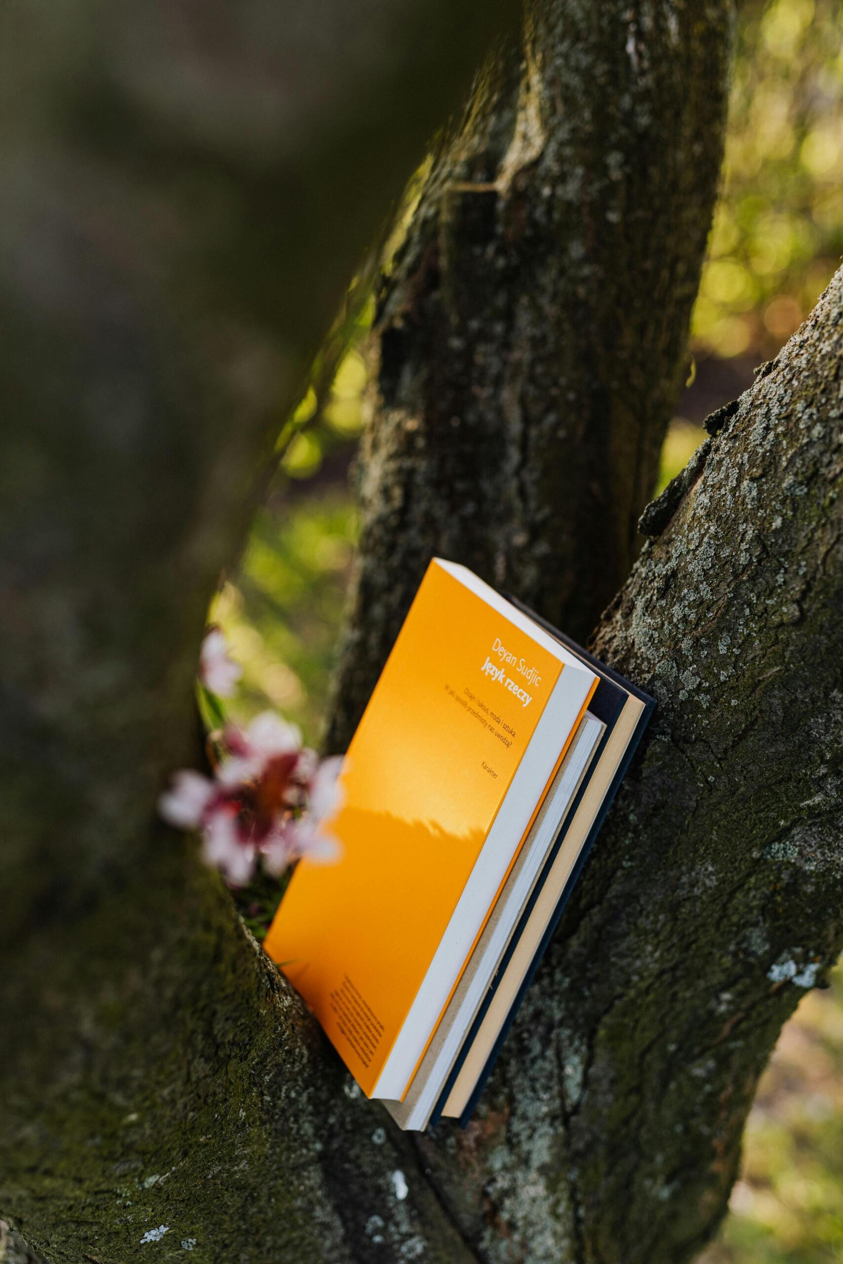 Books placed between gray branches of a flowering tree in a spring park.