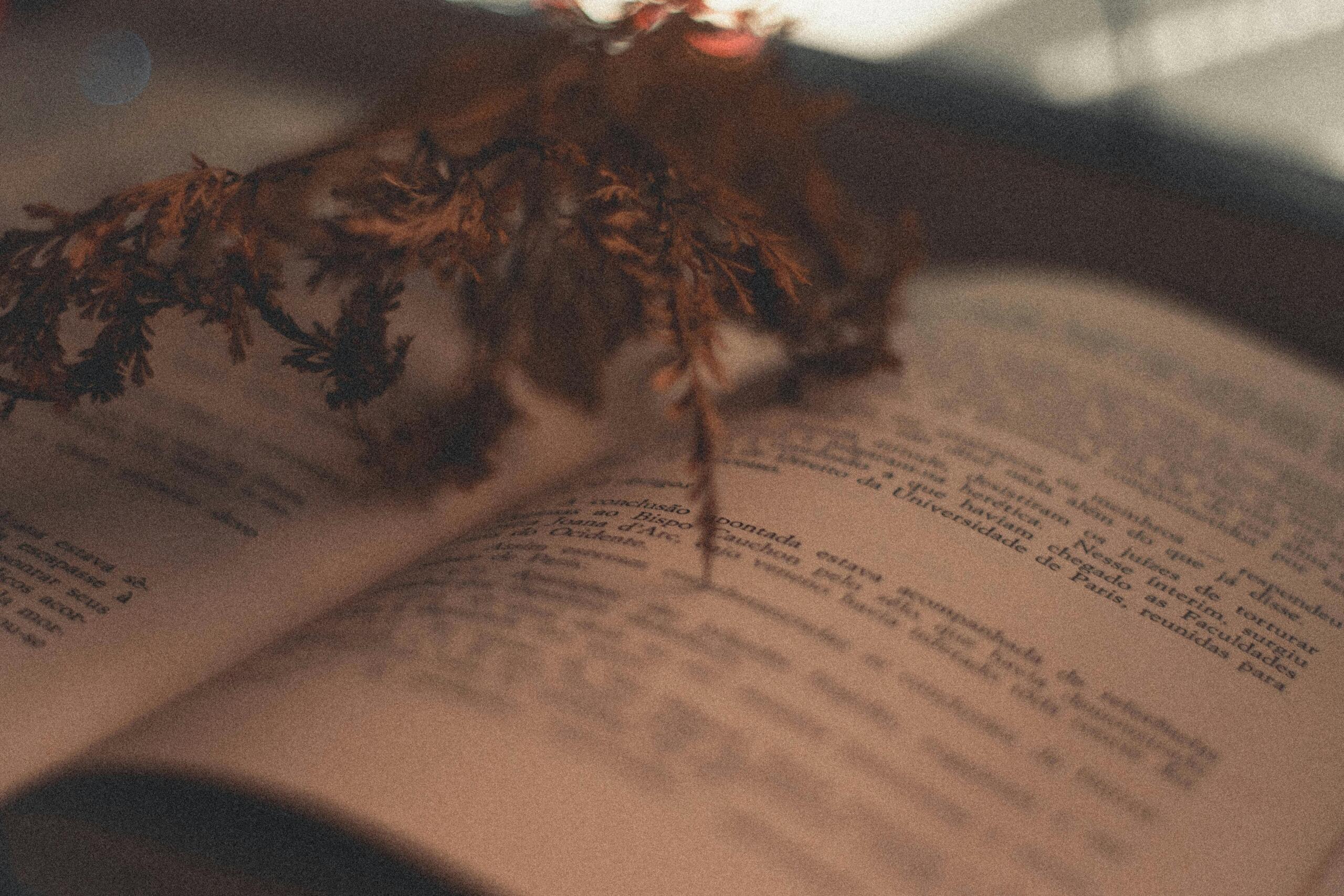  Brown leaves resting on the pages of an open book.