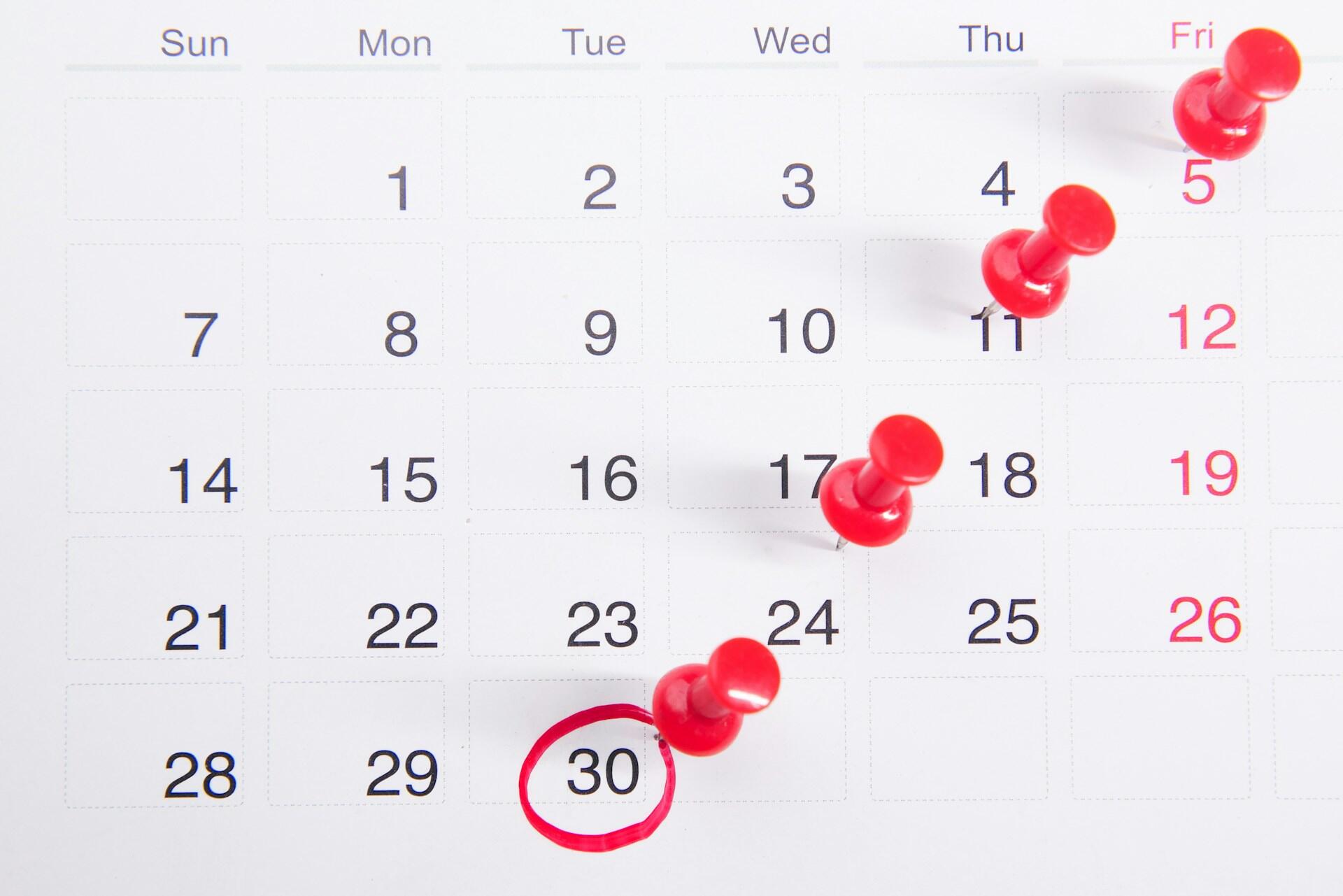 a month calendar with important dates and red pins
