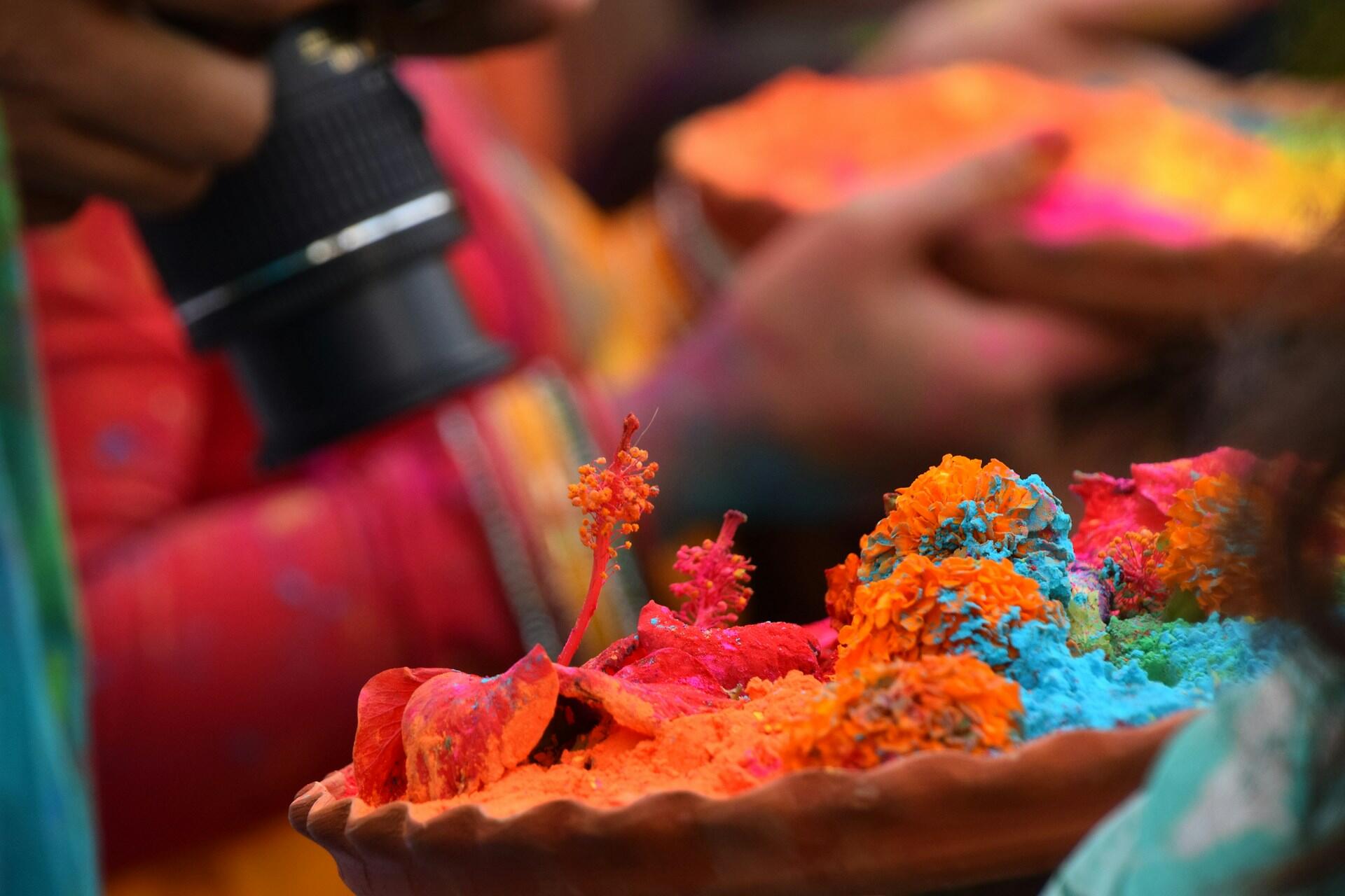 coloured powders used during holi festival