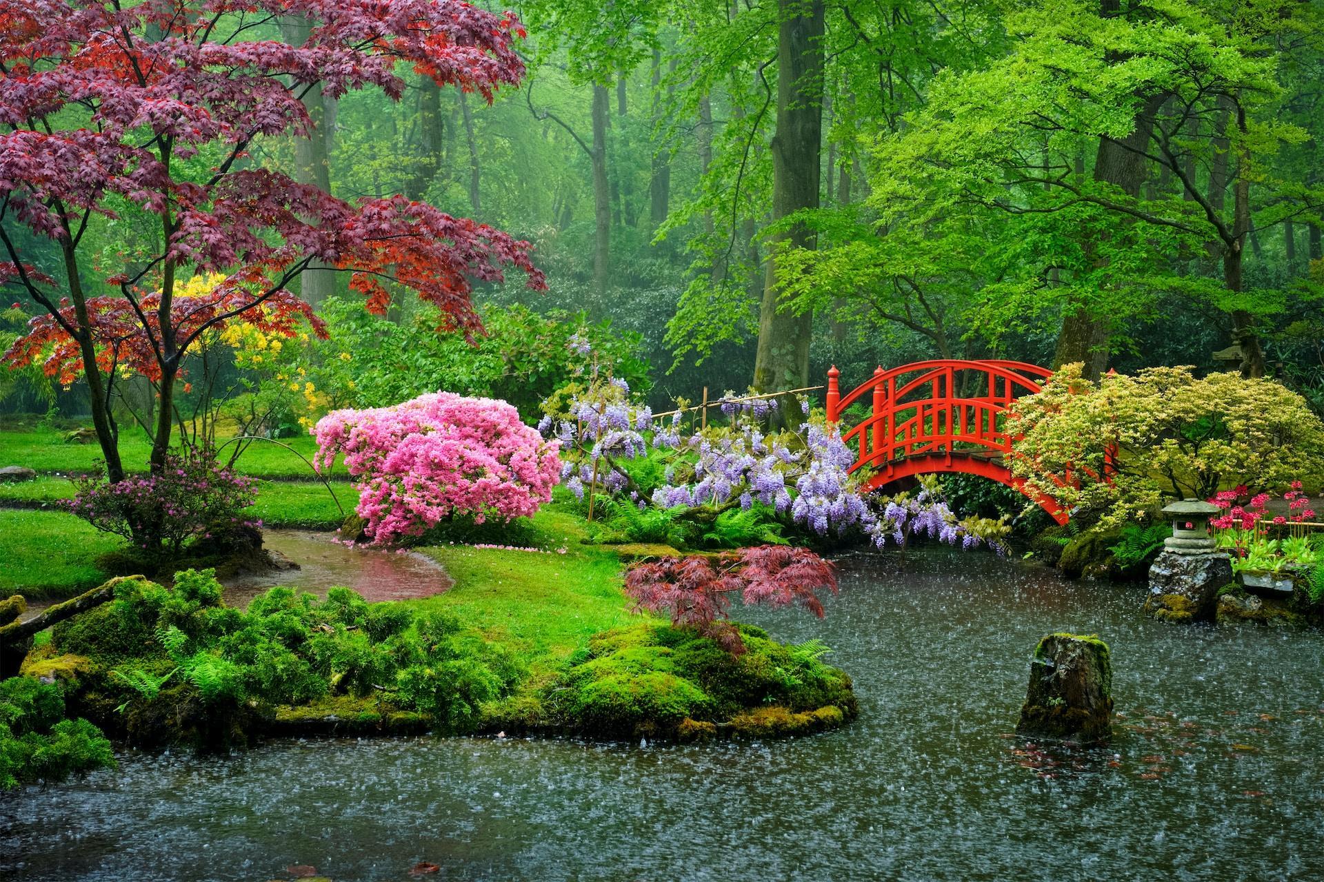 A beautiful green garden with flowers and a red bridge.