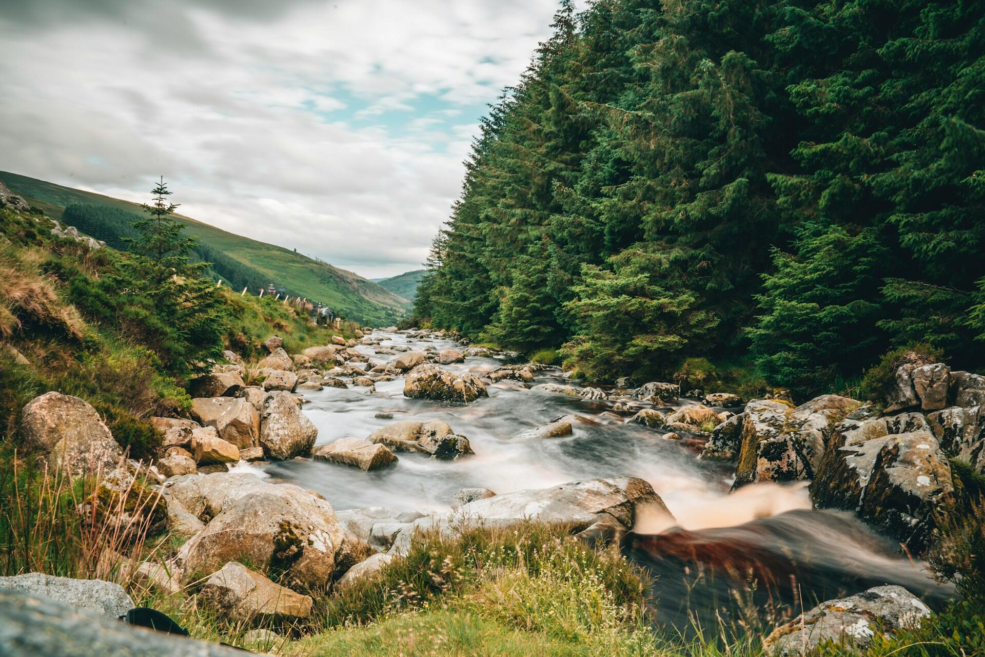 Water flowing in a stream in County Wicklow.