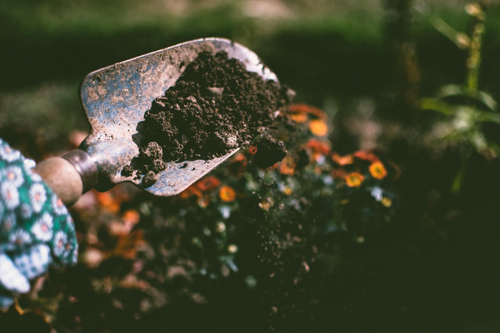 Child digging in soil 