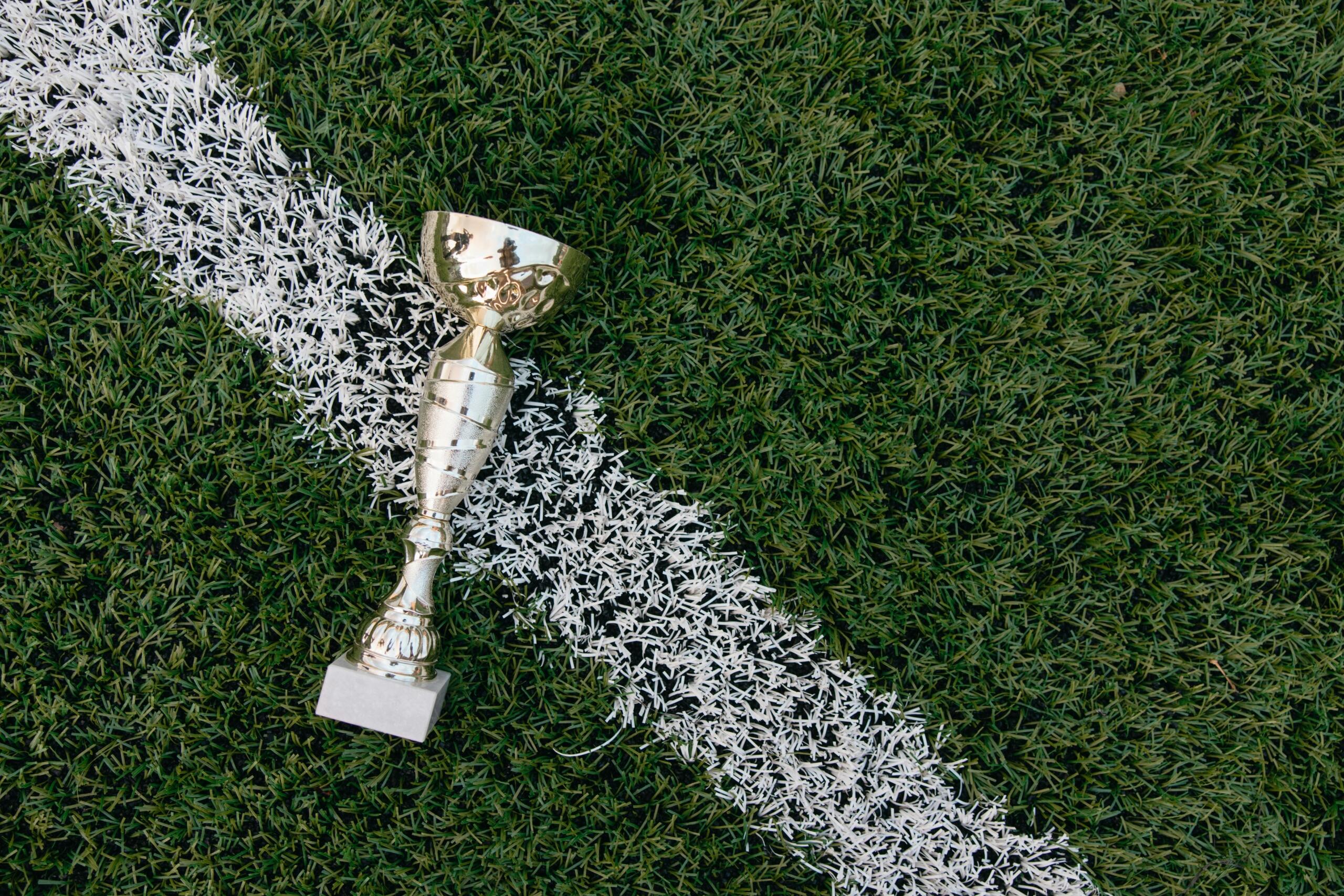 A gold trophy placed on a lush green grass field, captured in natural daylight.