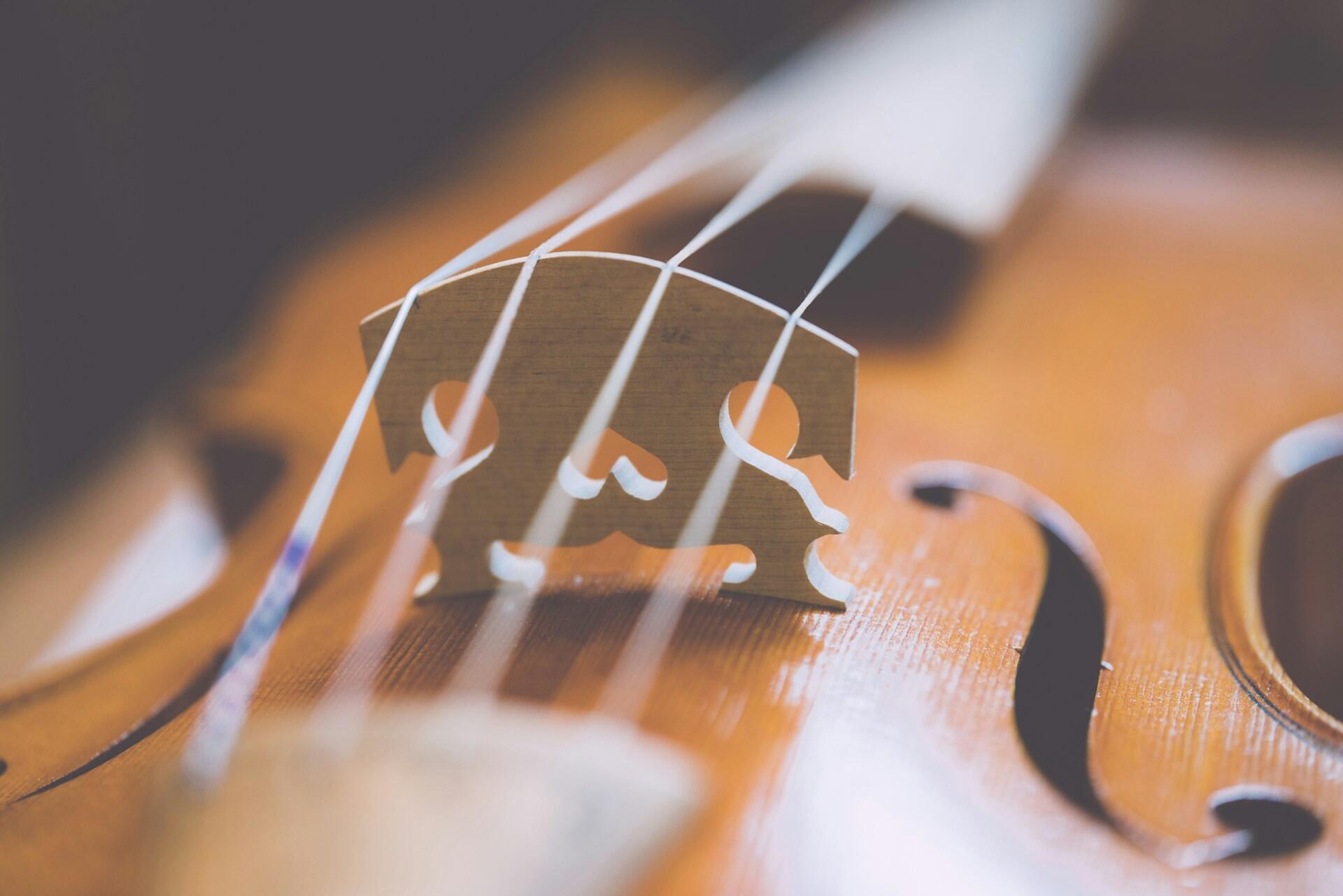 A closeup of a violin bridge.