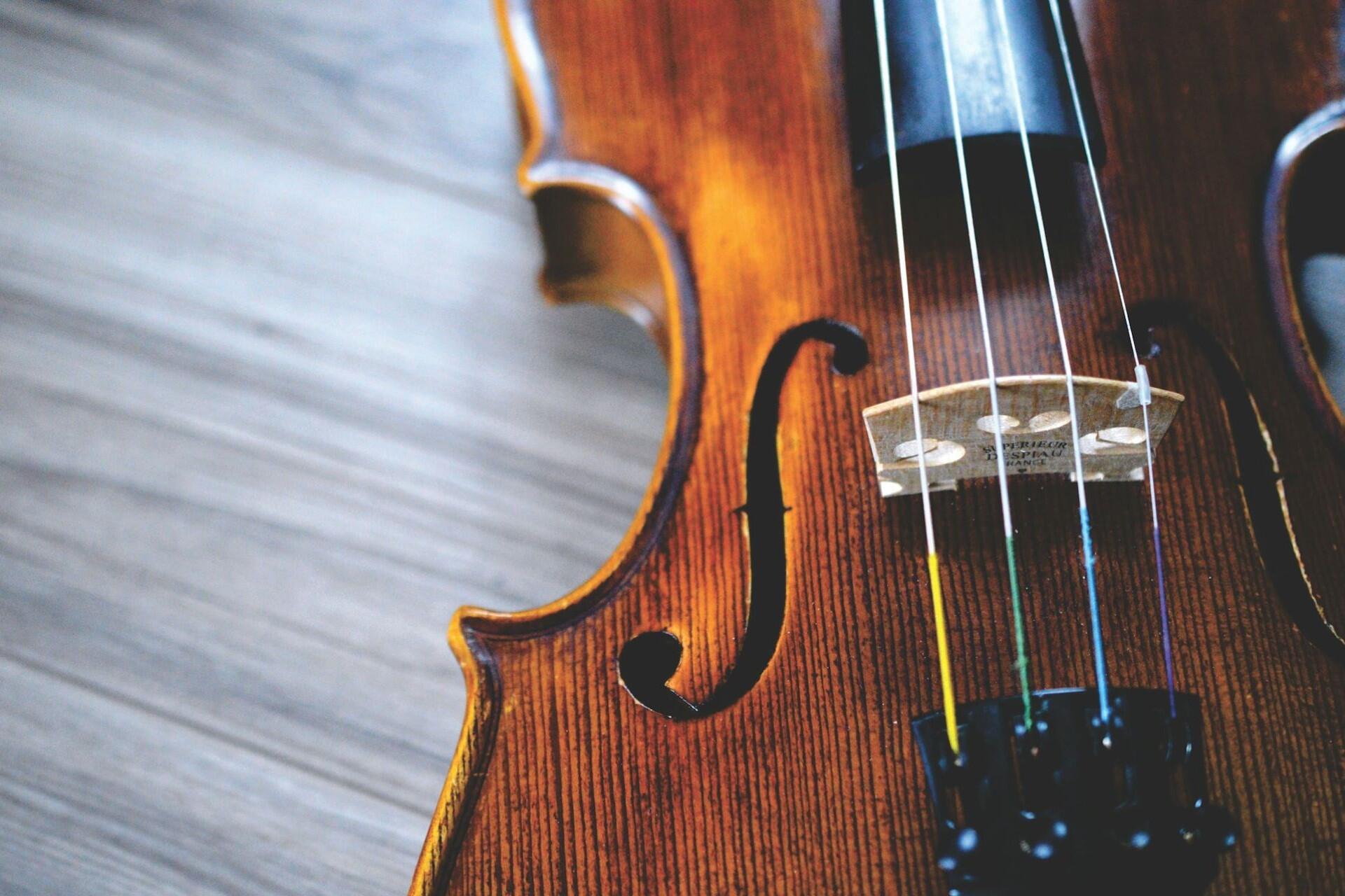 A closeup of a violin and its strings.