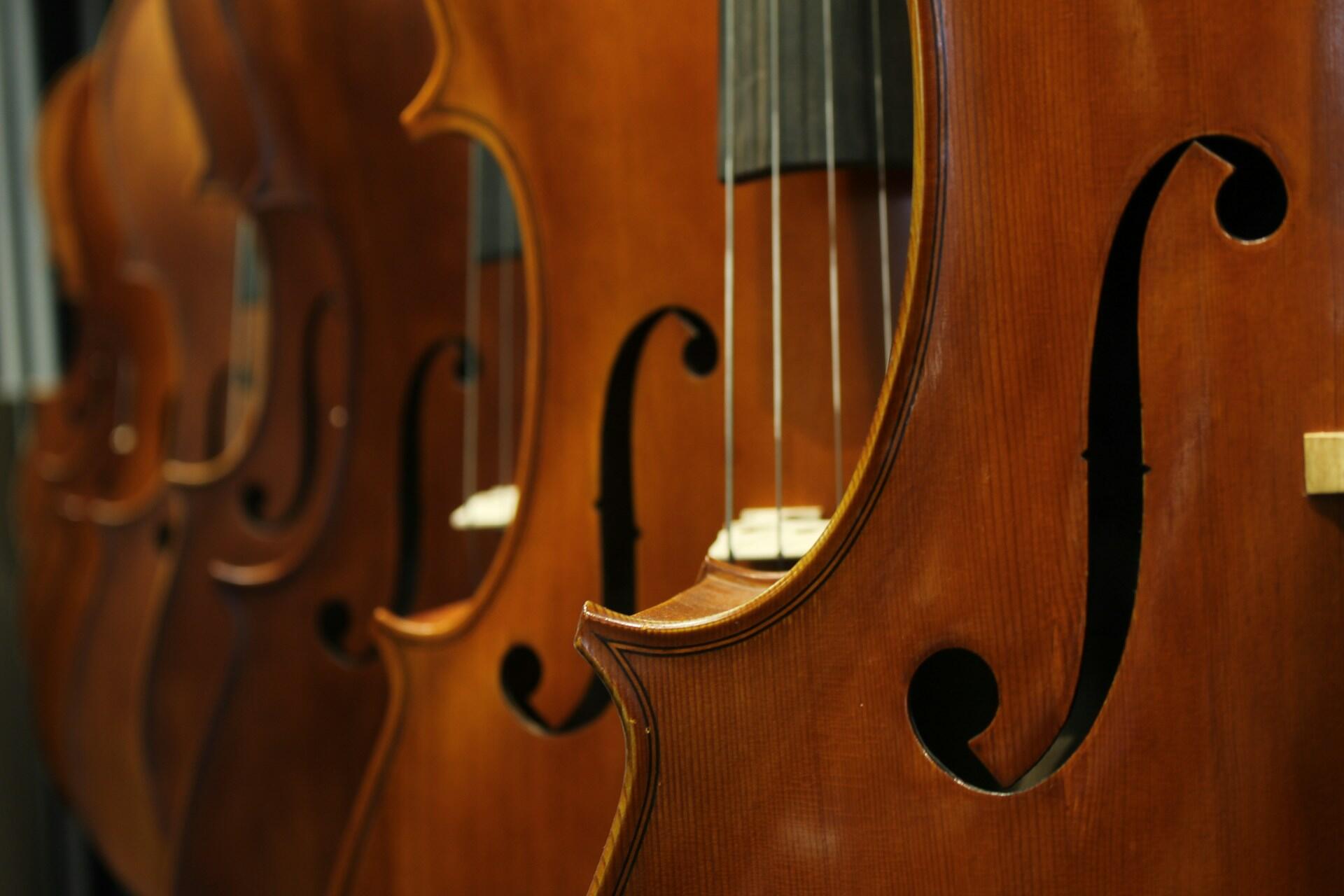 Several violins hanging up.