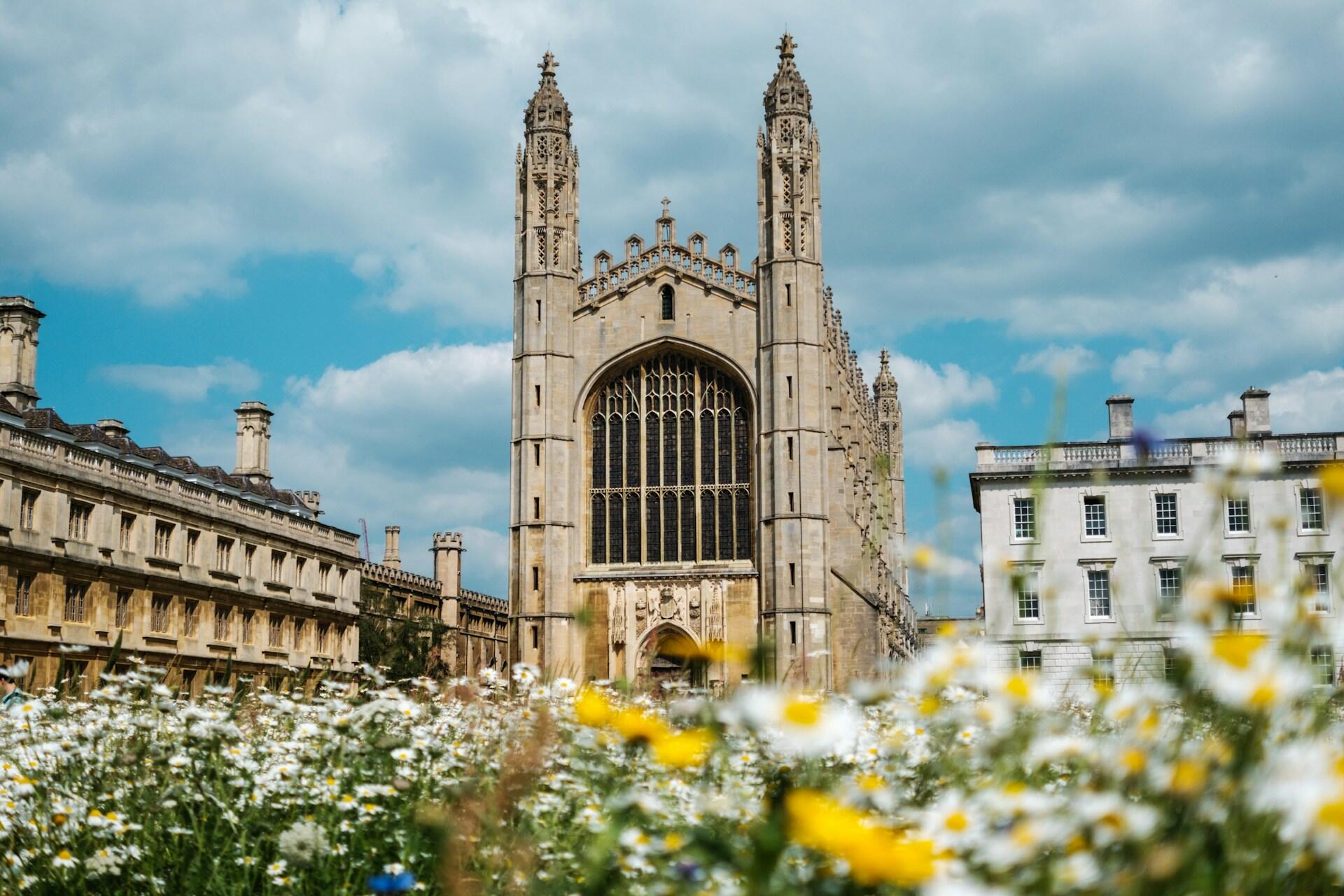 A large stone building behind flowers on a sunny day.