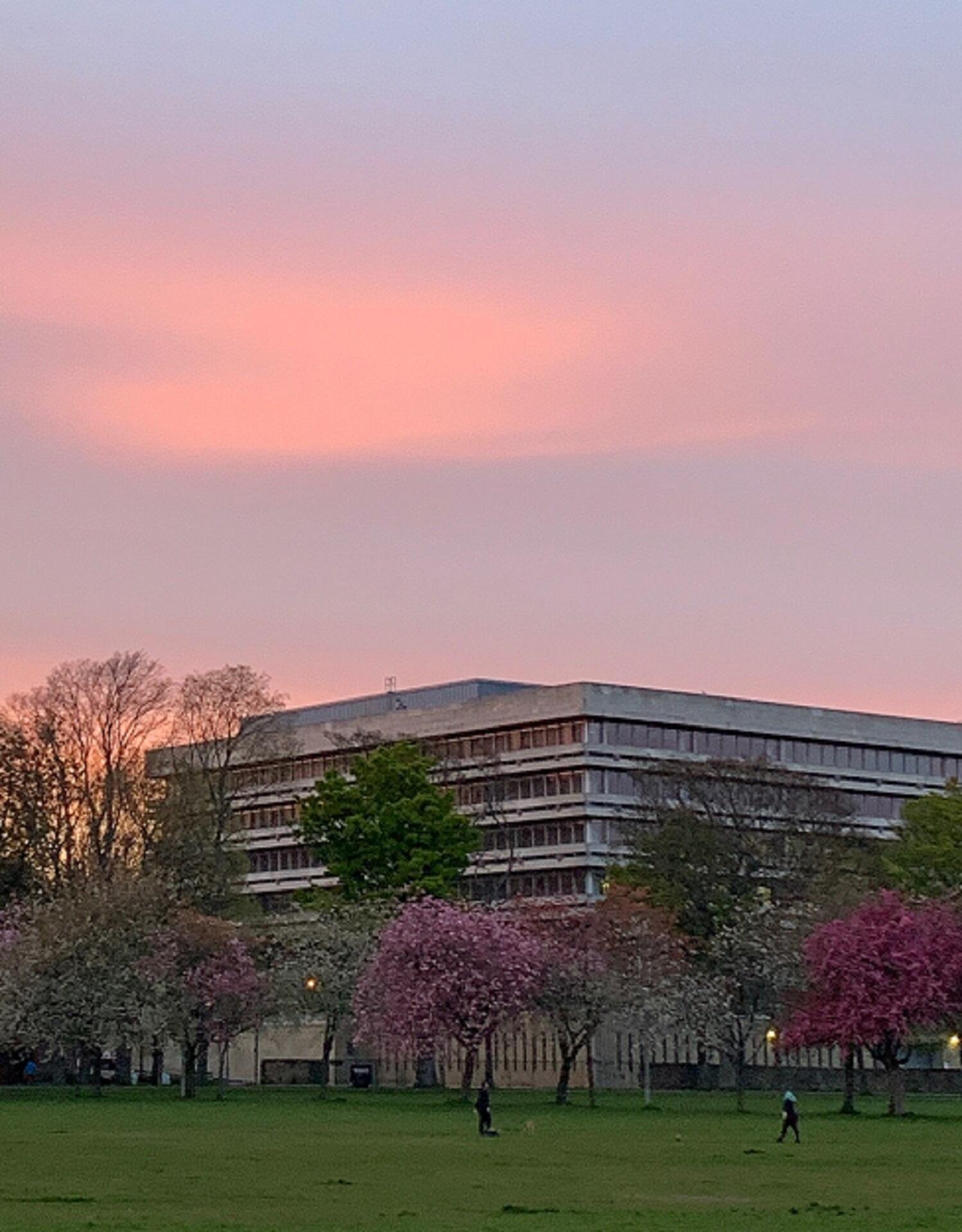 University of Edinburgh library at dawn. 