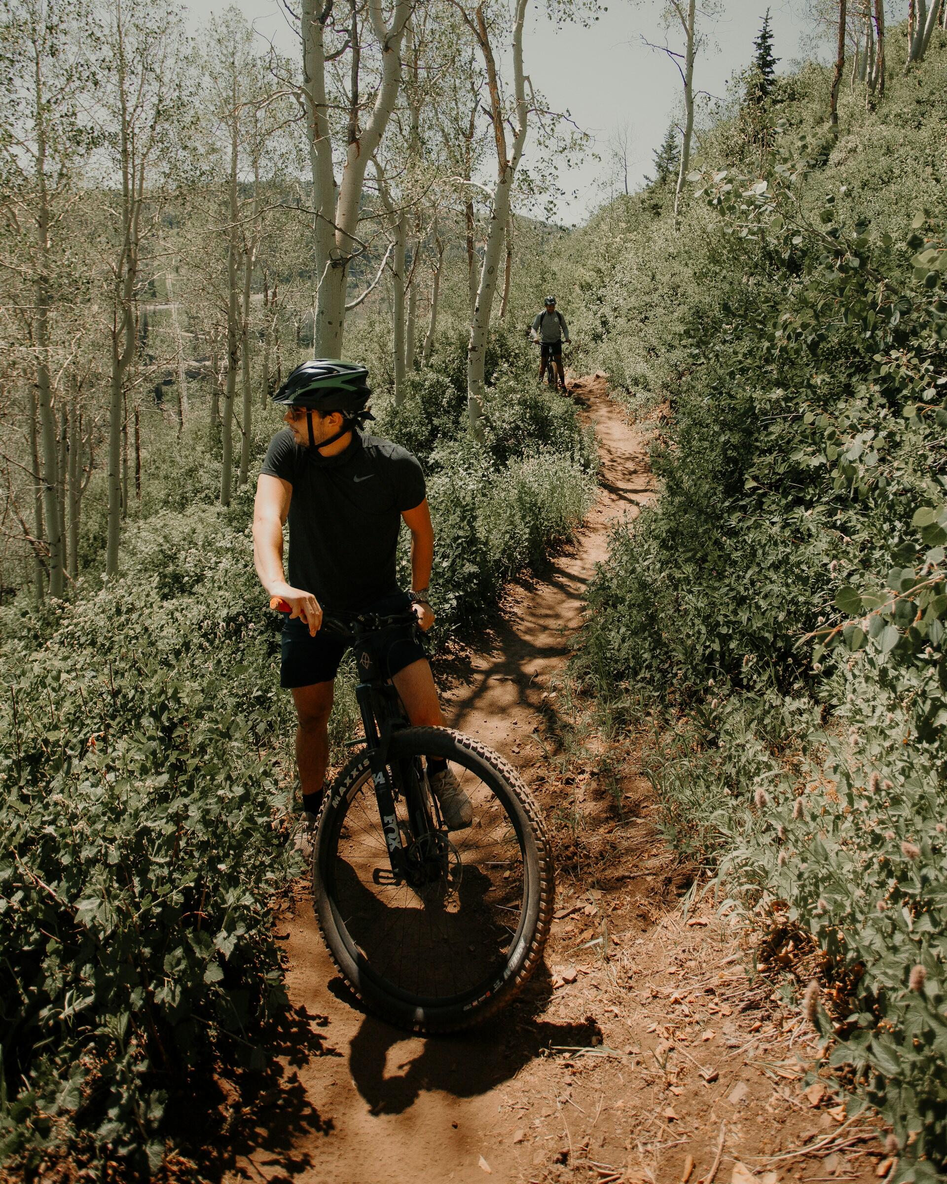 Two mountain bikers navigate a winding trail surrounded by lush greenery and tall trees under bright sunlight.