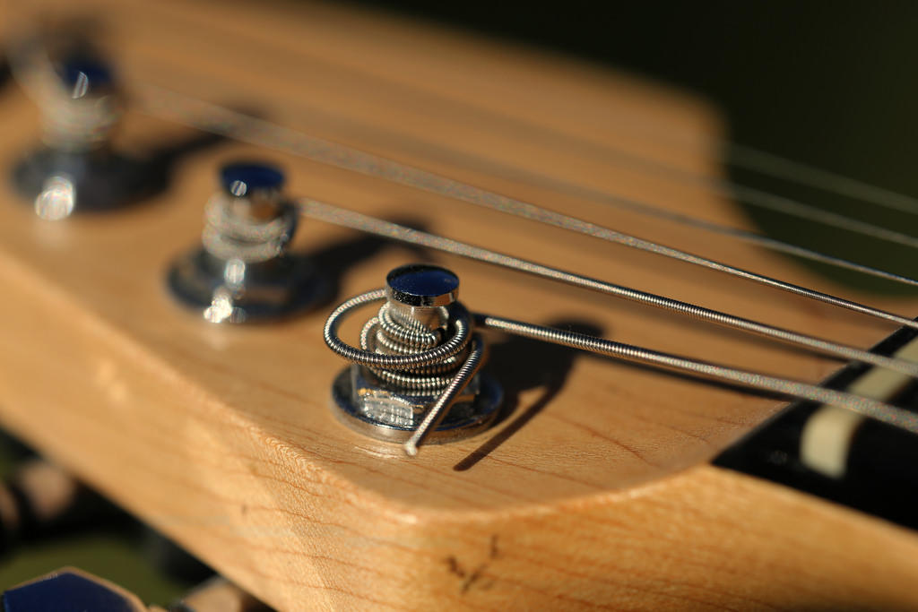 The strings on the head of the electric guitar.