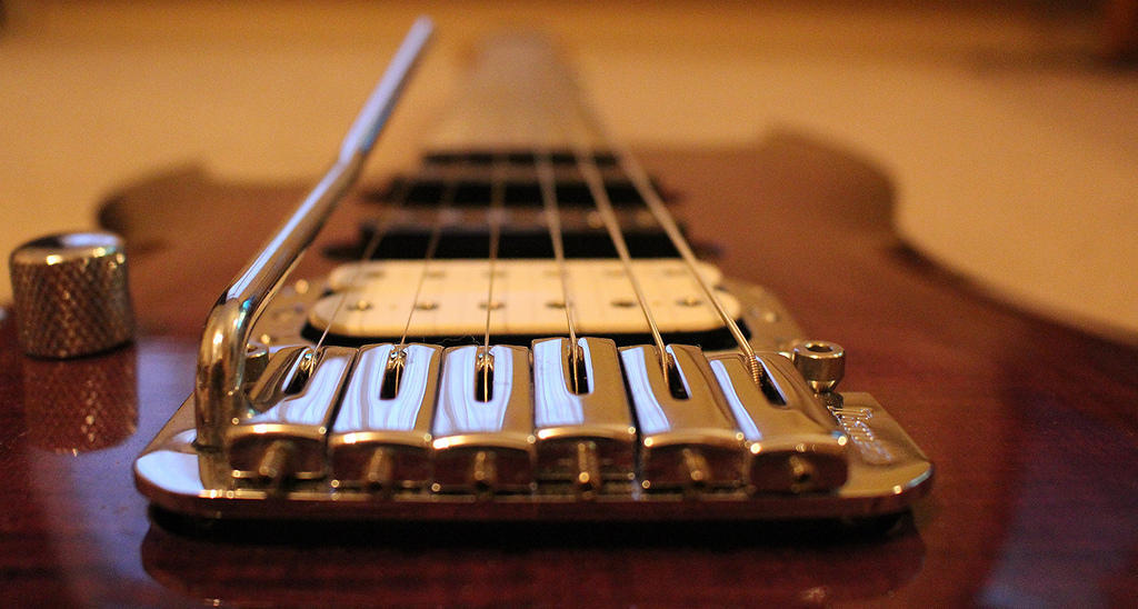 The picks up on the electric guitar.