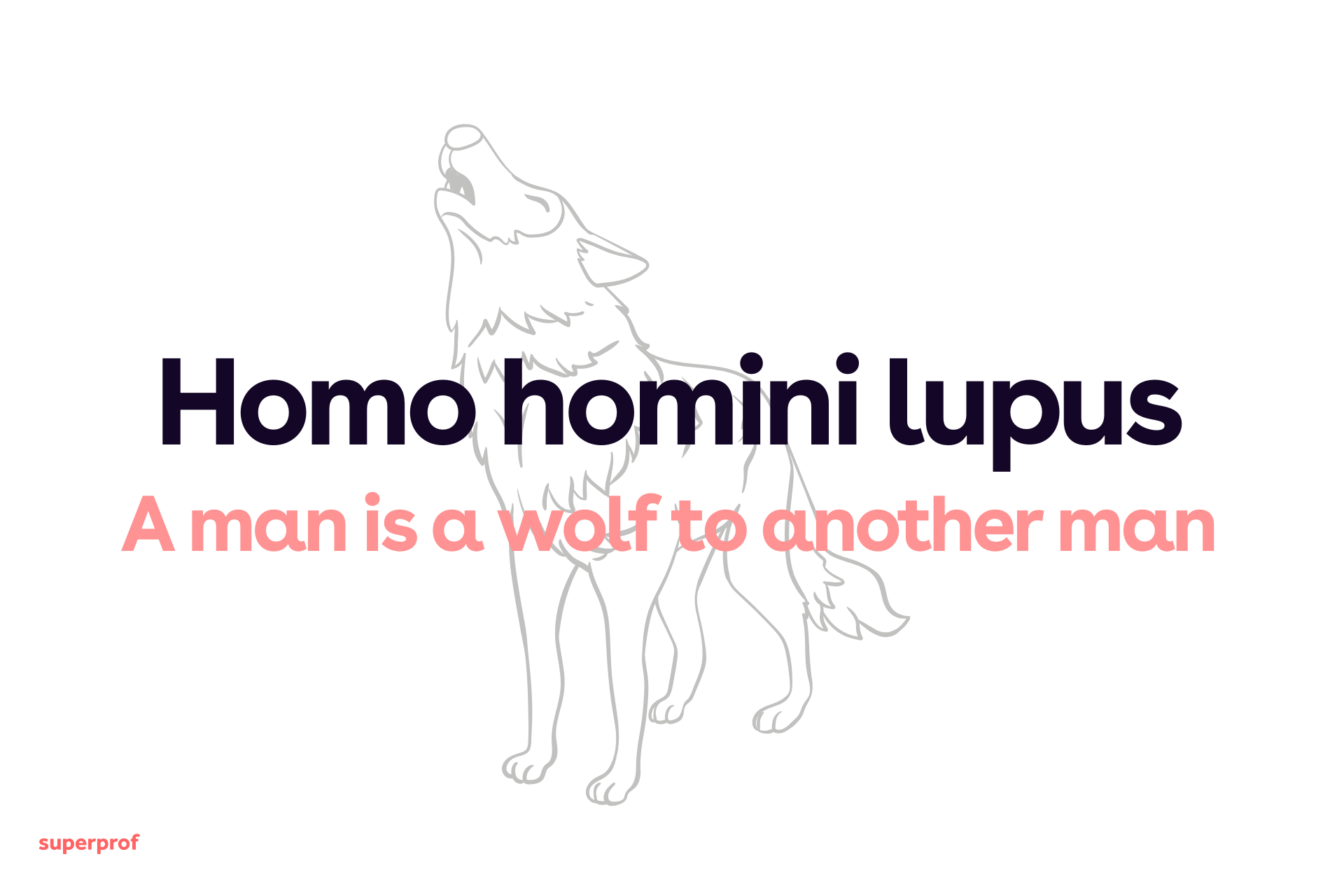 Text reading "Homo homini lupus" with a wolf illustration and english translation: a man is a wolf to another man