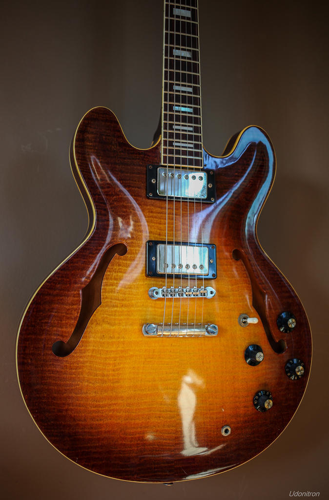 The hollow guitar body is often used for playing blues or jazz.