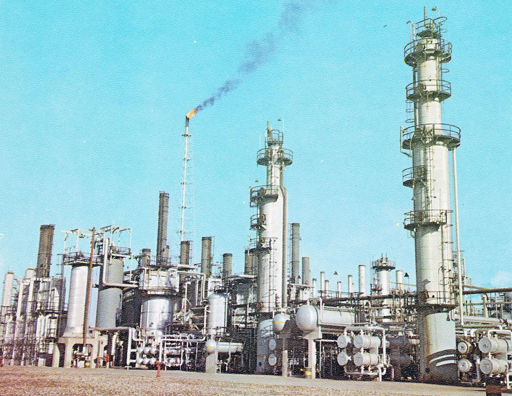 learn modern standard Arabic