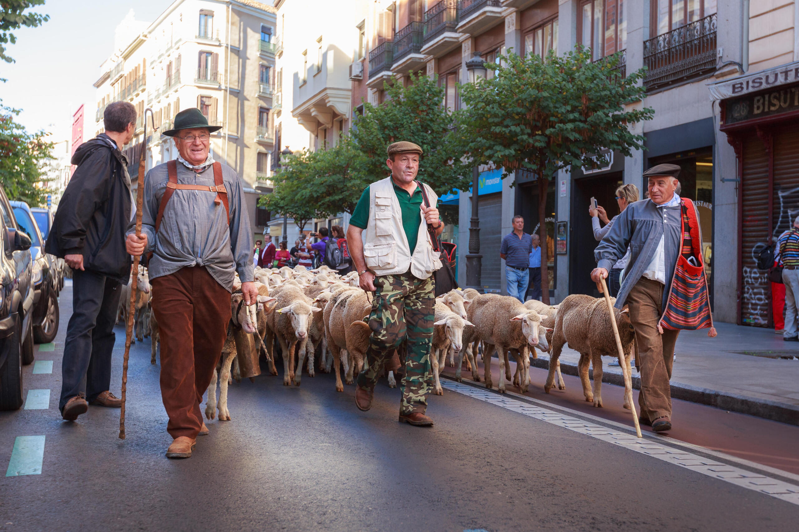 learning to become a tutor spanish