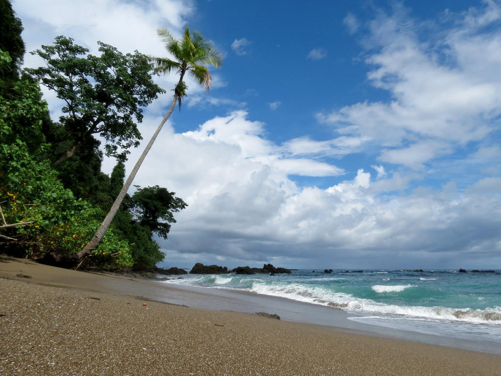 Enjoy the beauty of Costa Rica while learning Spanish