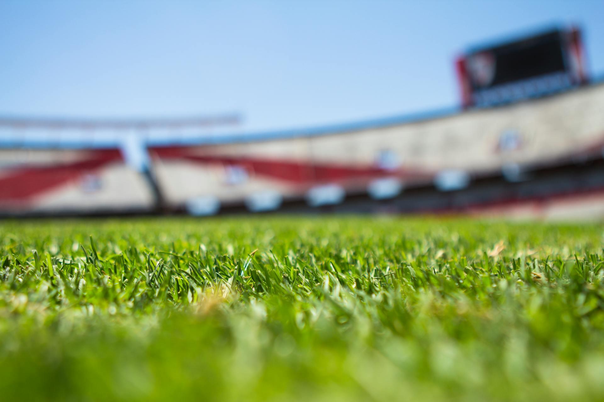 image of artificial grass and stadium in background