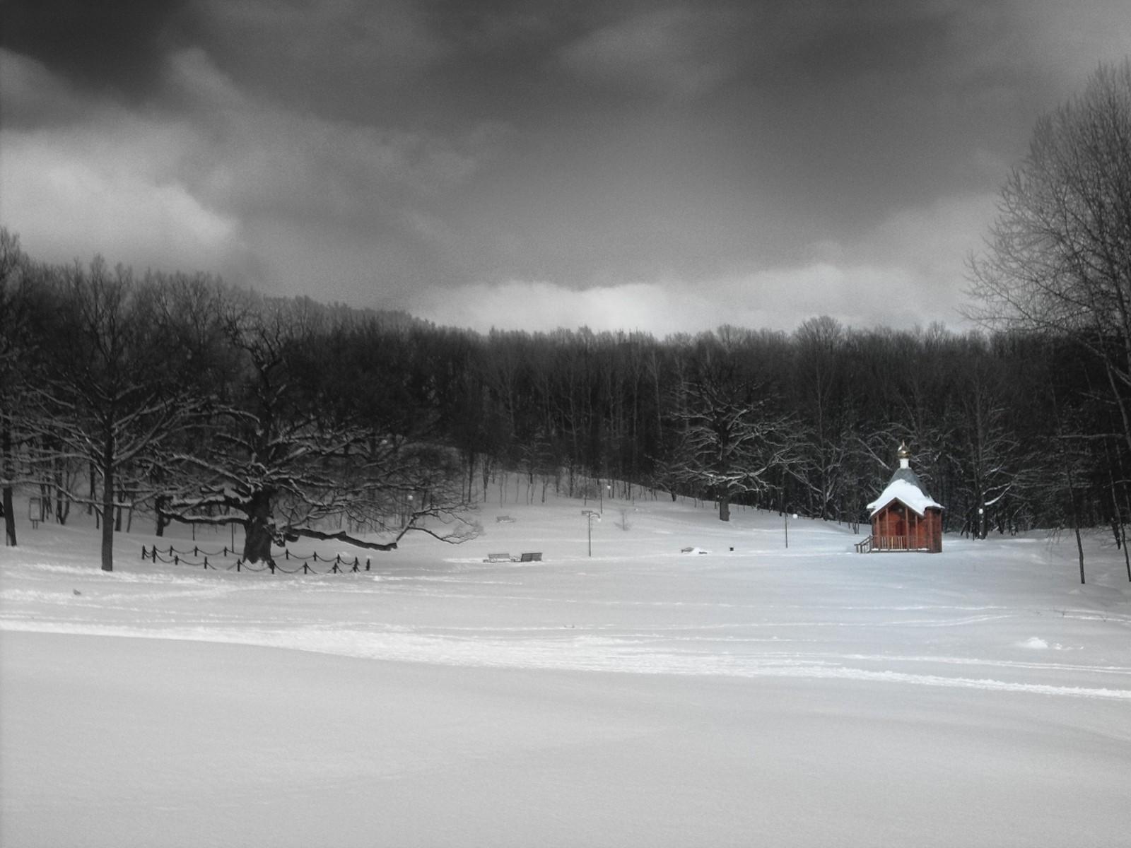 a snowy landscape of a forest and a small shelter