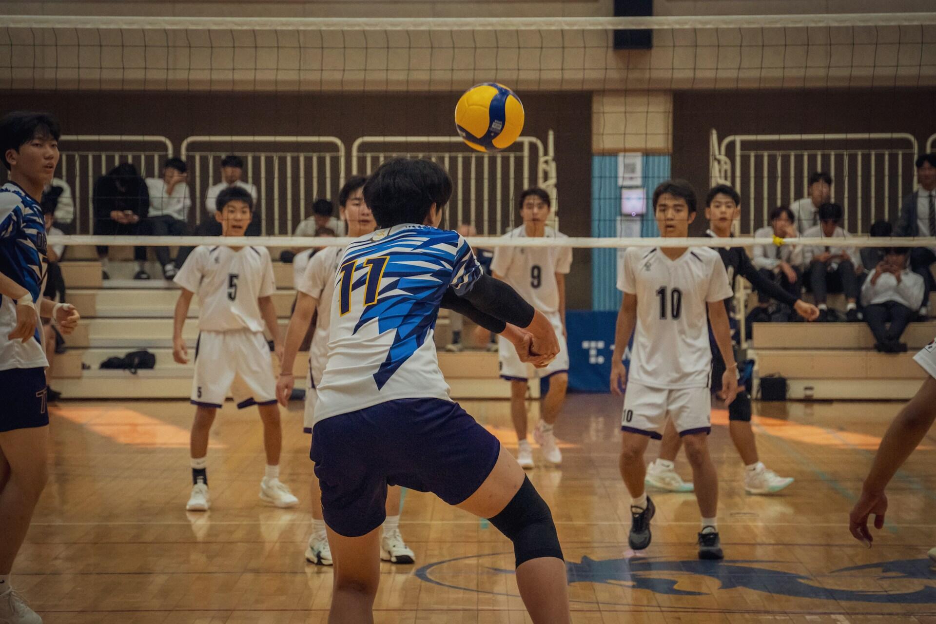Volleyball players in a match.