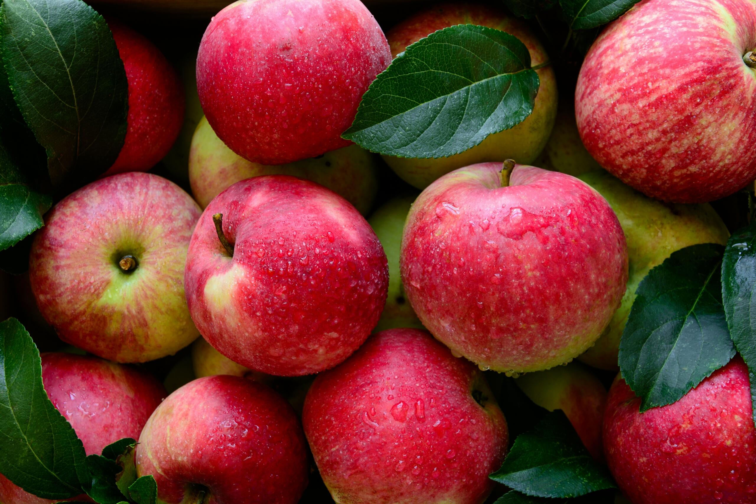 a pile of bright pink apples