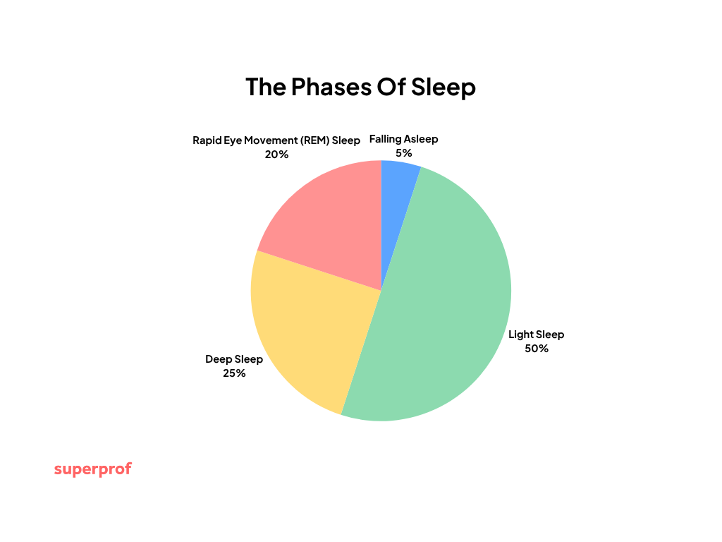 pie chart diagram of the different phases of sleep