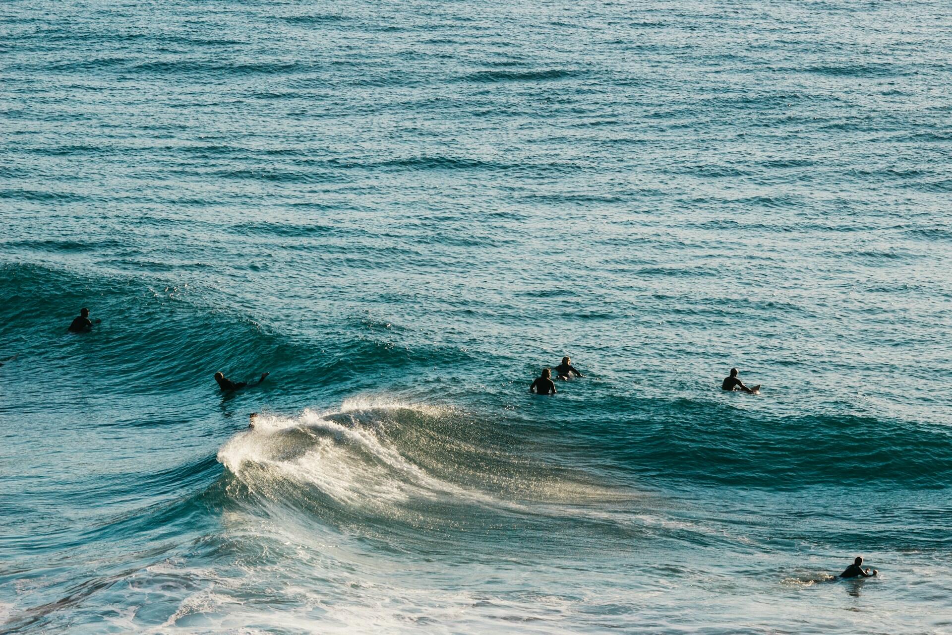 Surfers paddling out in the ocean.