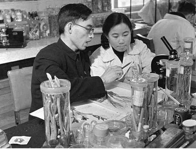 Photo of Tu Youyou in 1950s wearing a white lab coat and working in a laboratory.