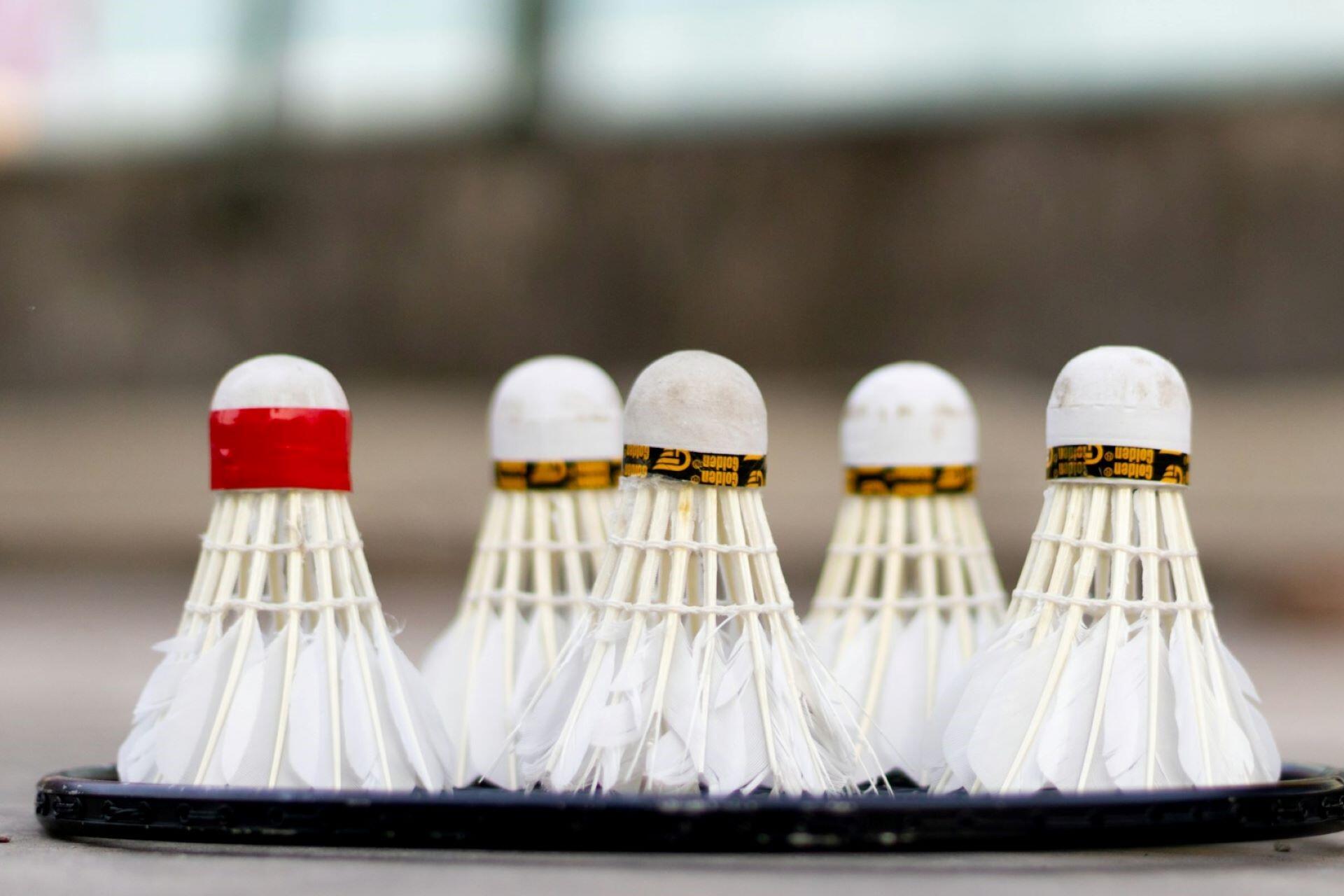 Several shuttlecocks on a badminton racquet.